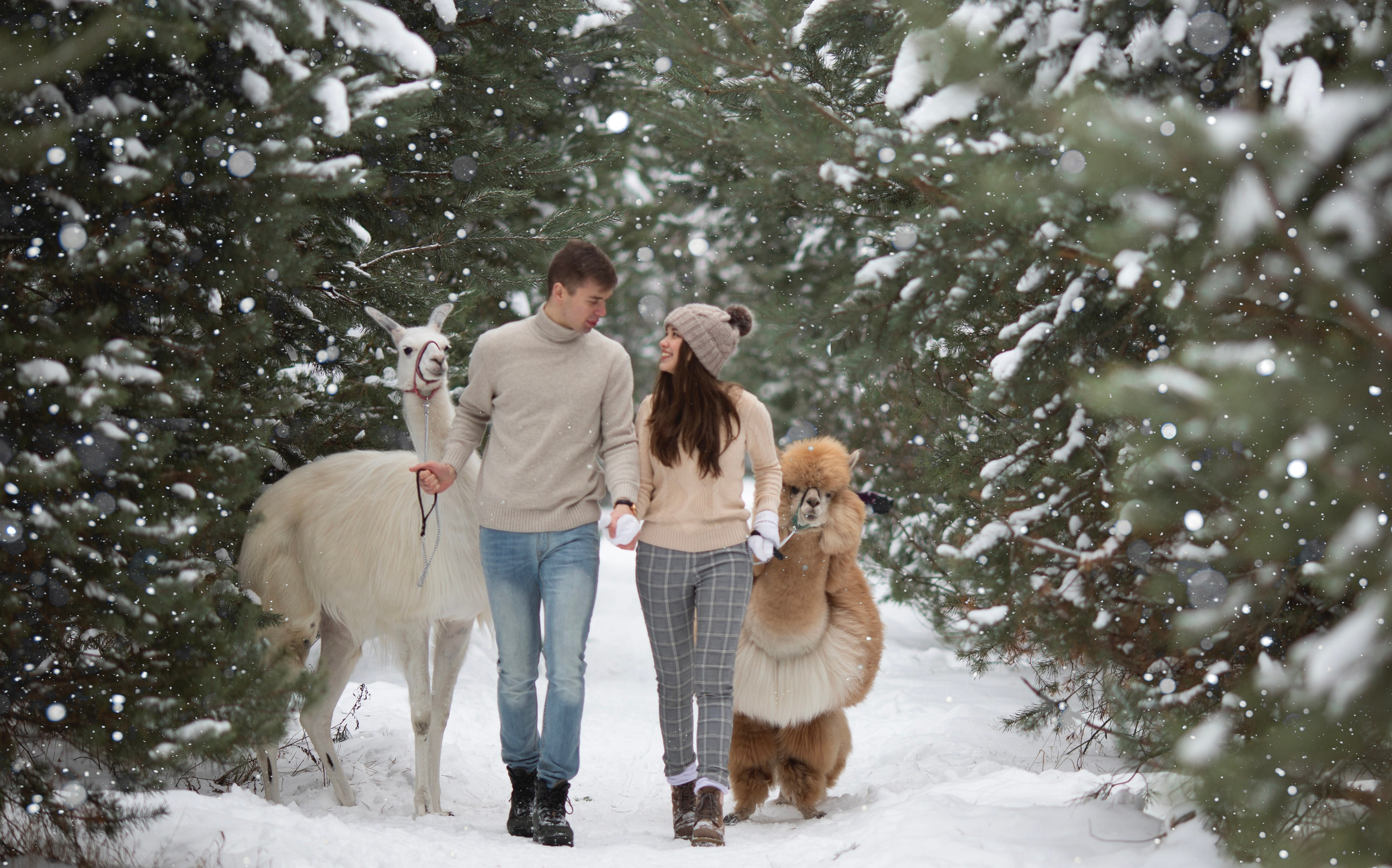 Зимние фотосессии с животными на улице. Фотопроекты, фотодни и фотосессии в Москве
