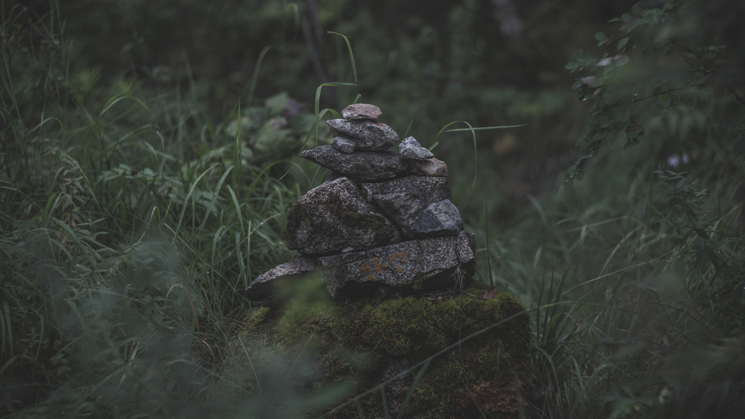 Пейзажное фото. Ню Фотограф Александр Касымов Москва, фотосессии, Химки фотограф