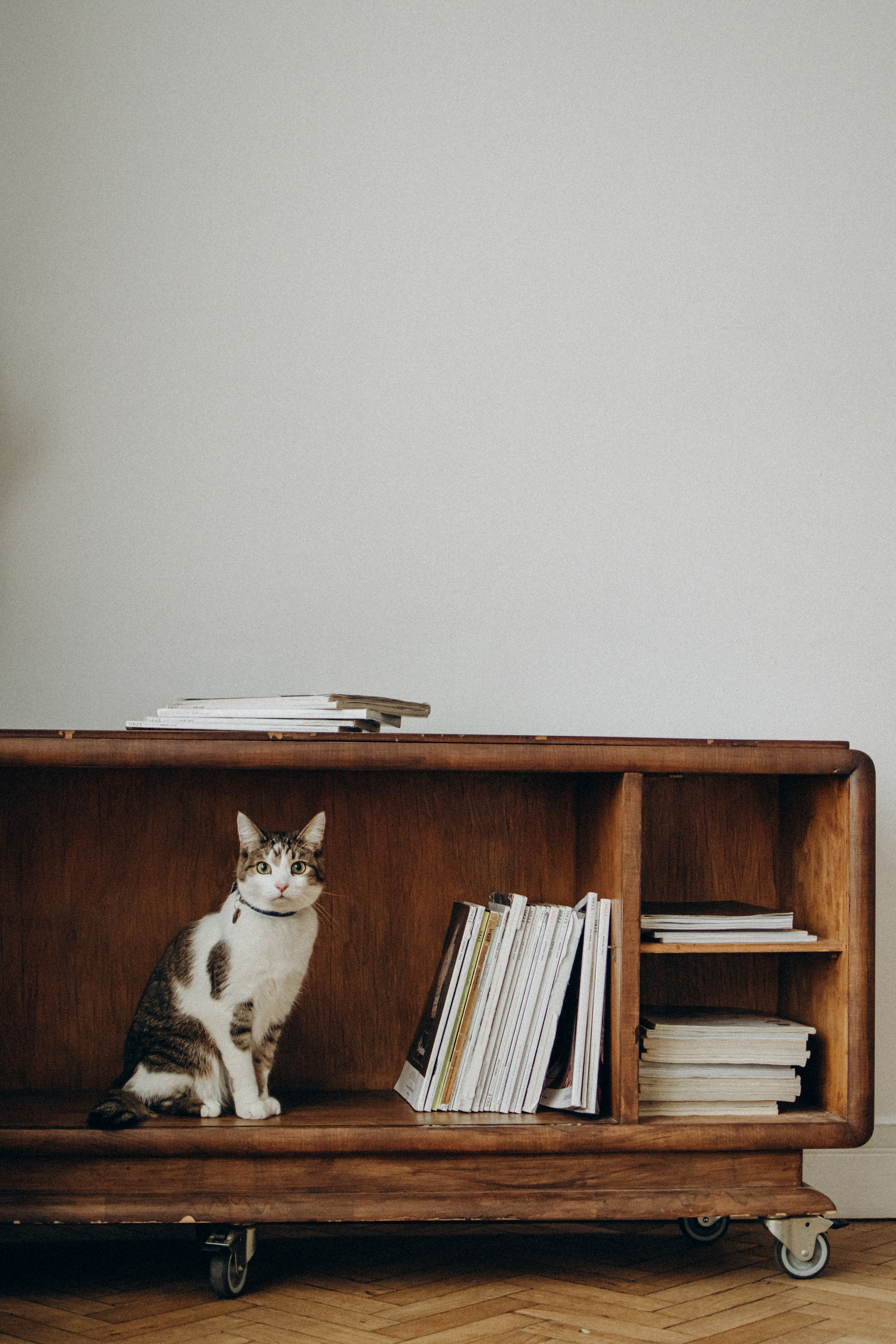 Ксюша и Яша. Фотораф — анималист Мария Шистка