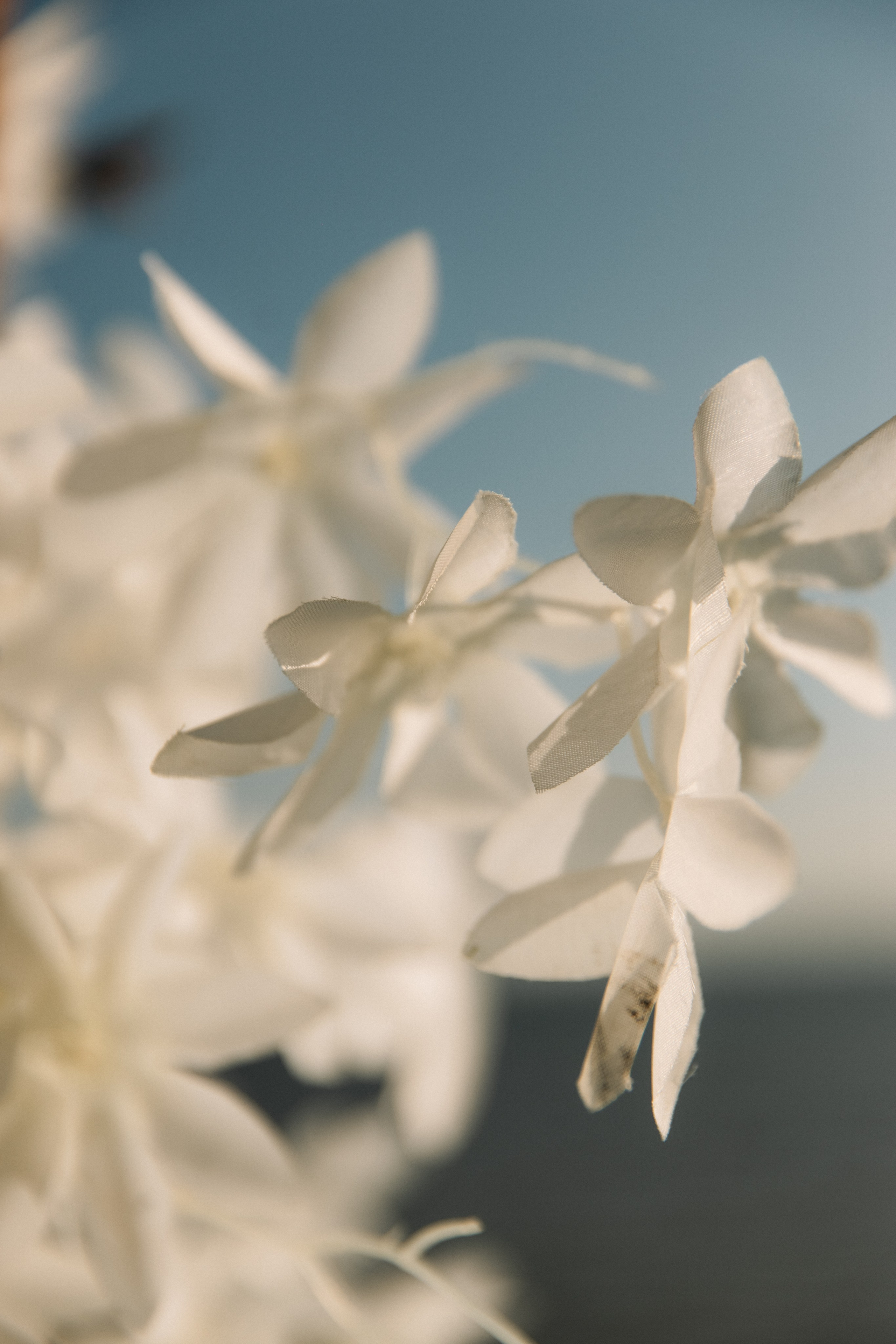 Анонс. Свадебный фотограф Кузнецова Ольга Санкт-Петербург, Вологда, Череповец