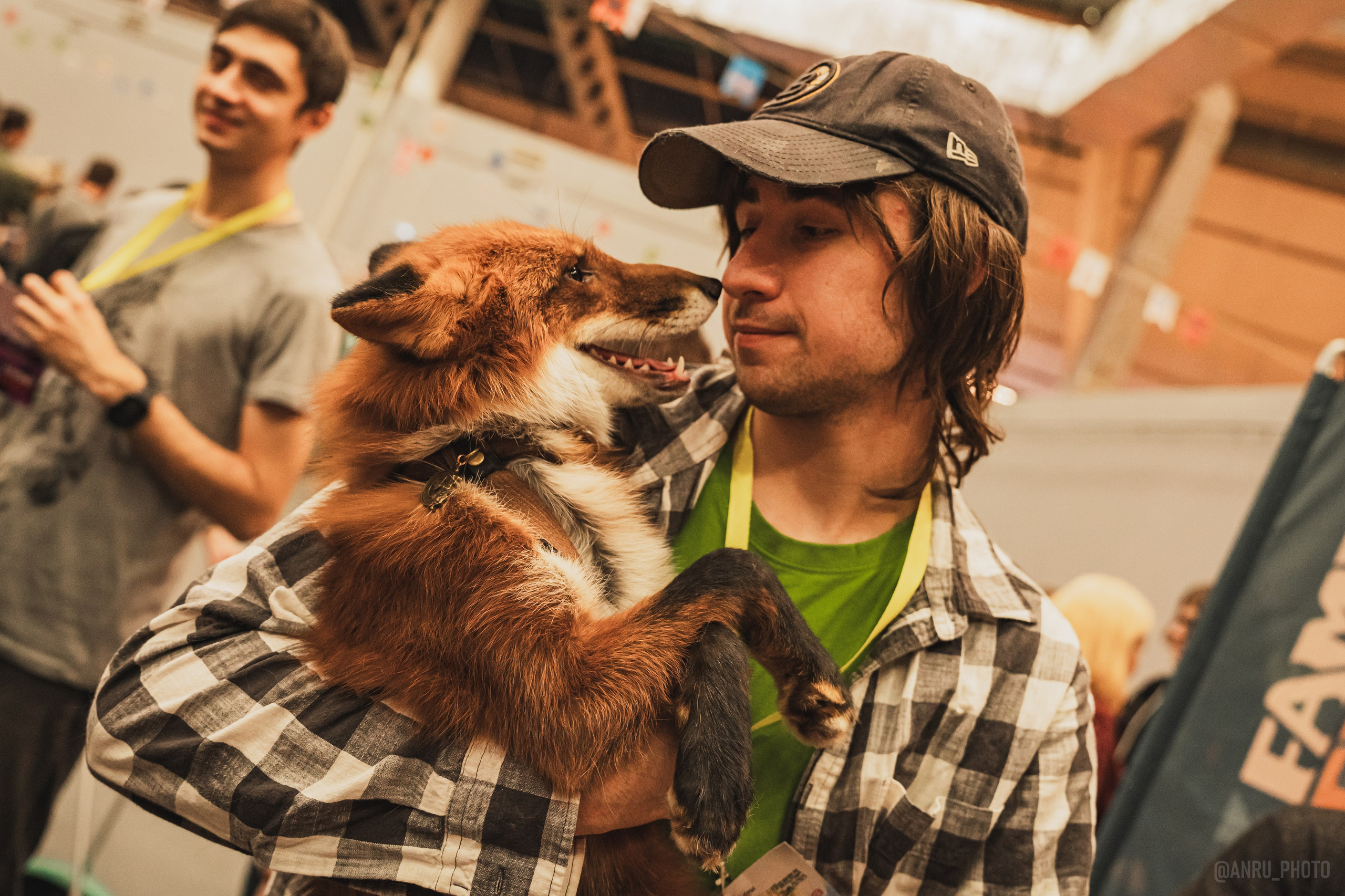 Fox Family fest. Репортажный фотограф Анастасия Рубцова