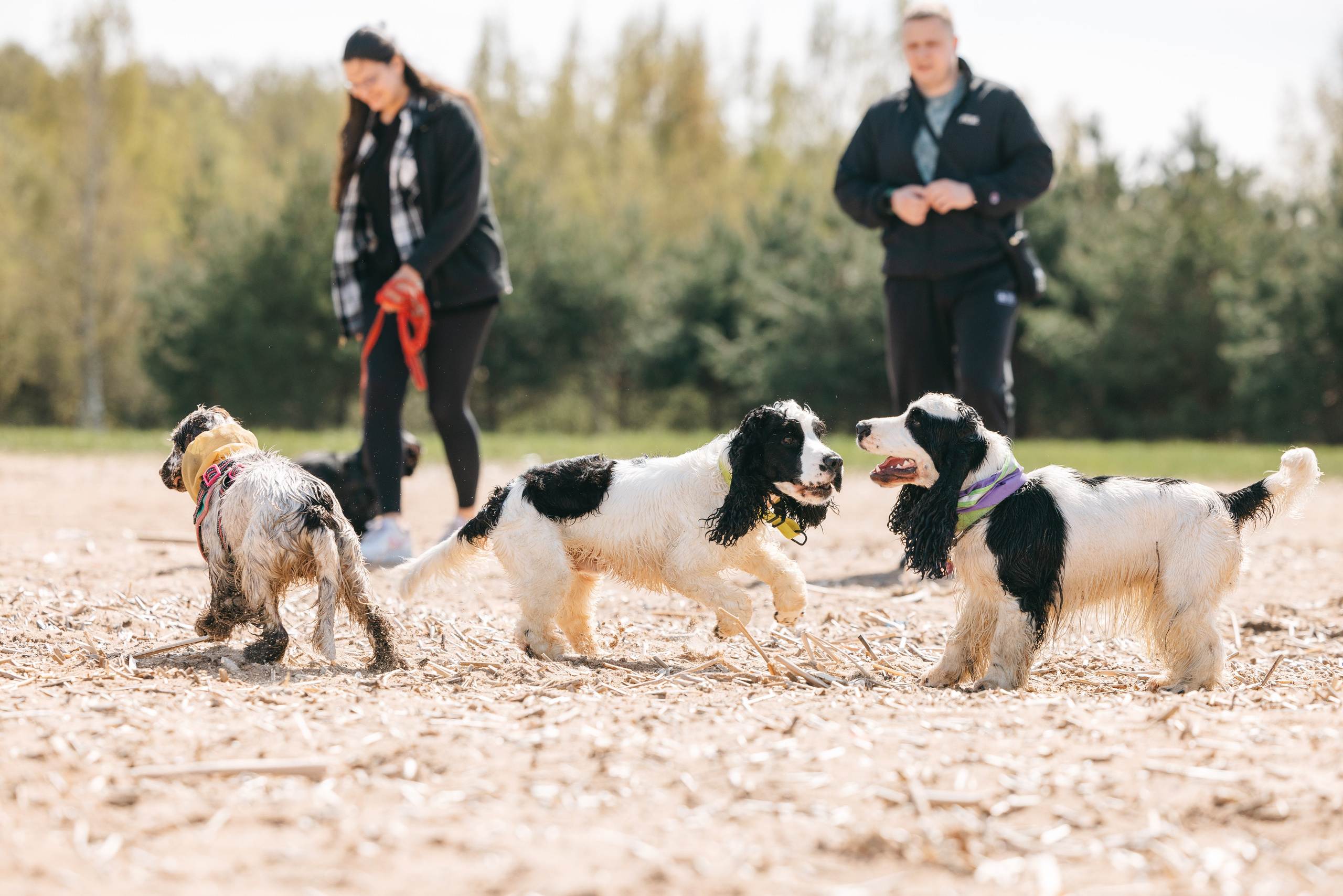 Спанимания. Фотограф анималист Осипчикова Мария