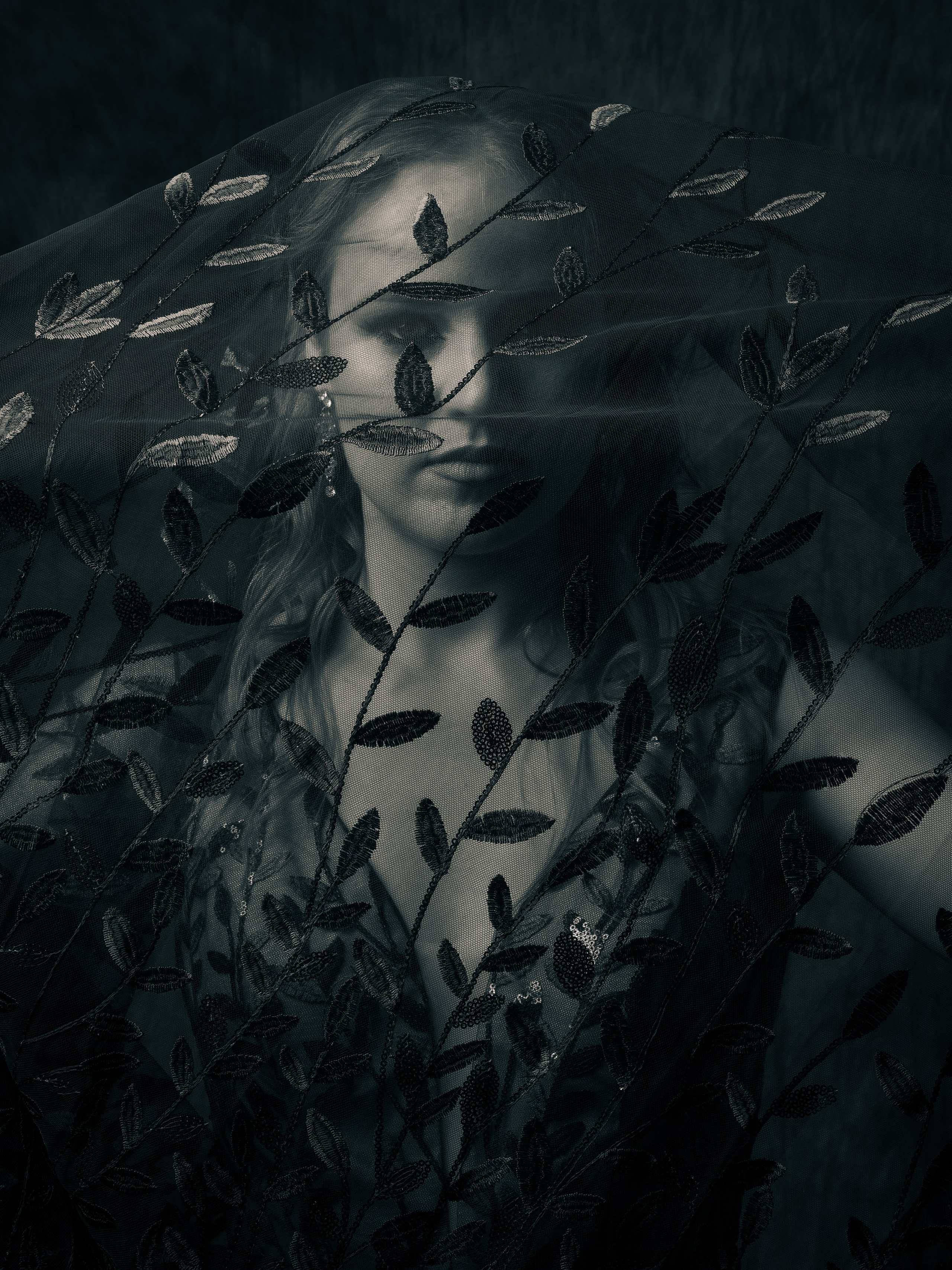 Сопрано Александра Соколова. Oles Paritskiy