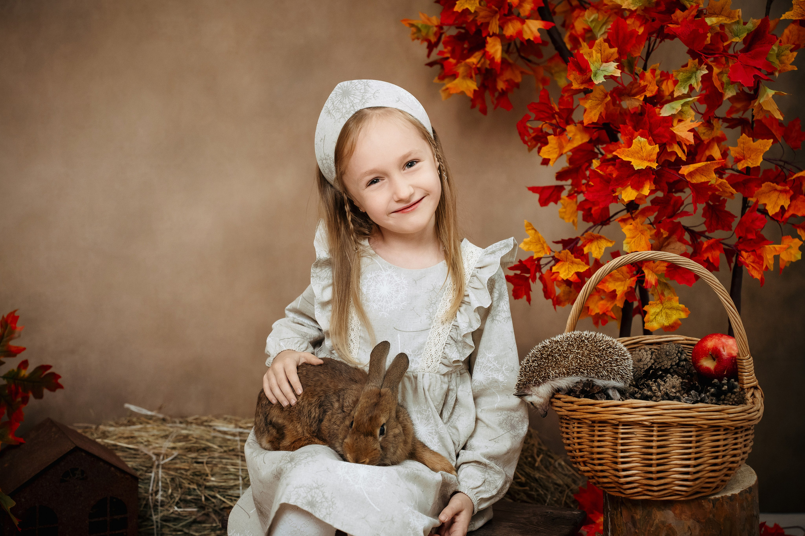 Ёжик. Фотограф Казакова Анастасия