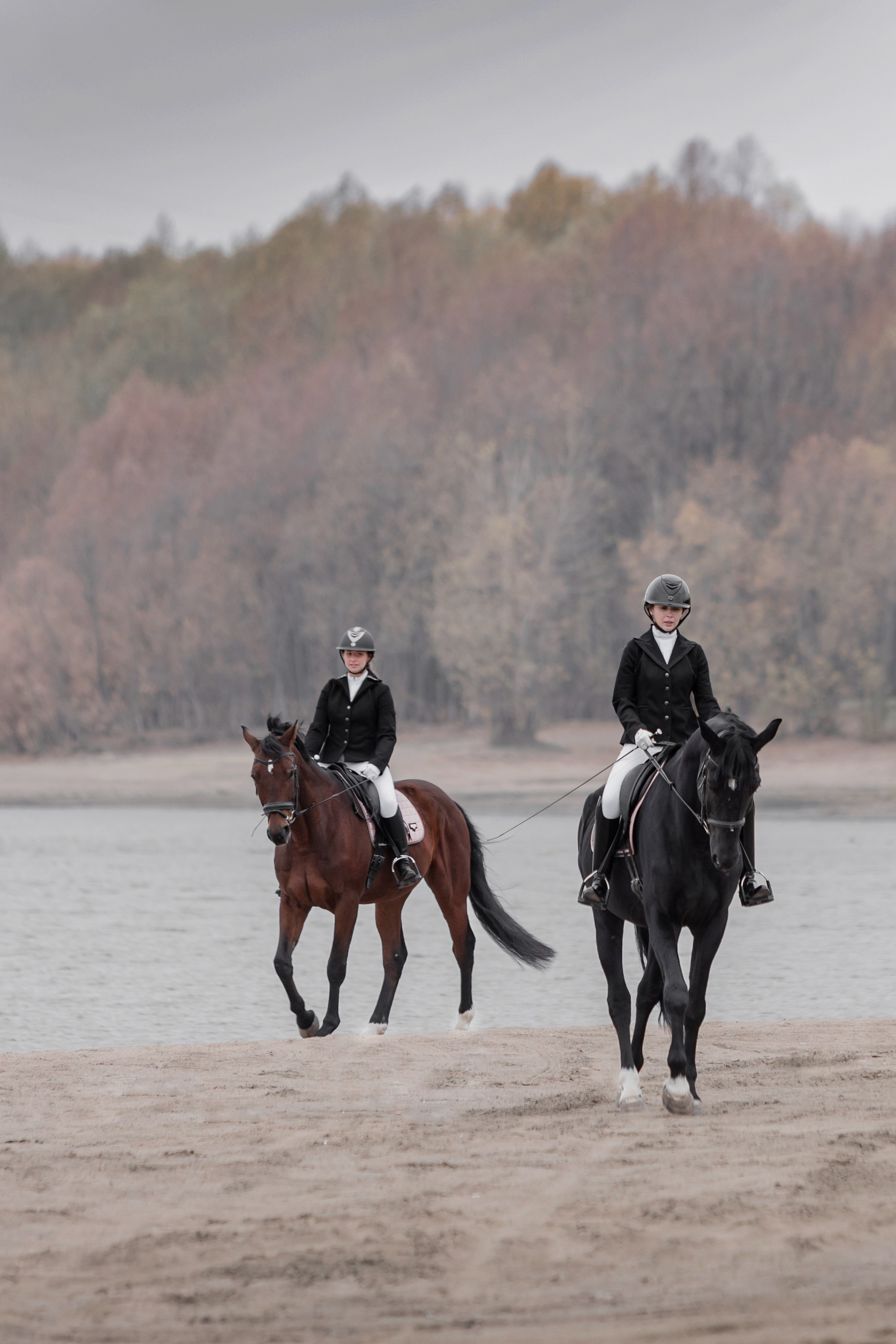 Фотосессии с лошадьми. Главная