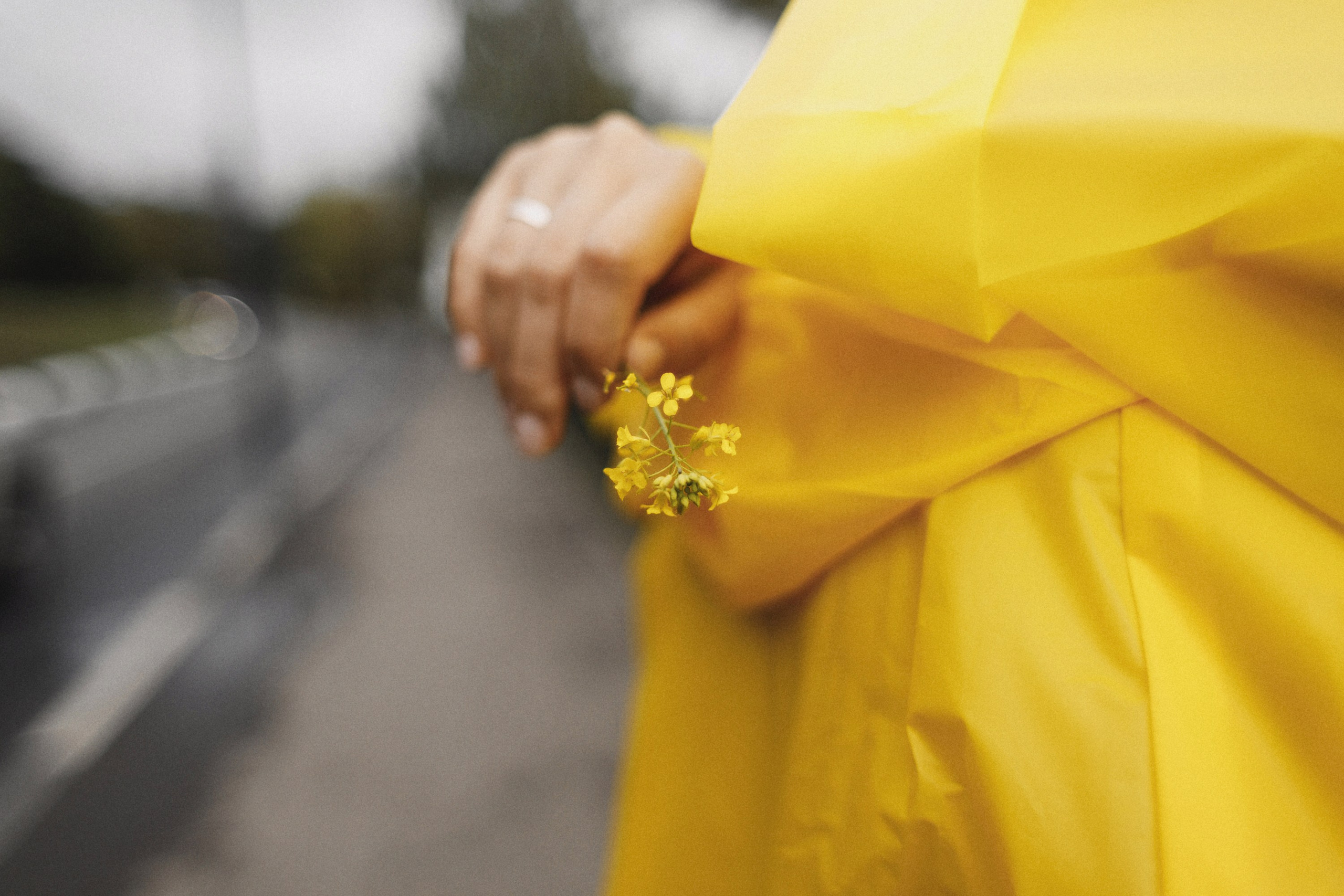 Мням-мням. Свадебный фотограф Дмитрий Воробьев Ярославль