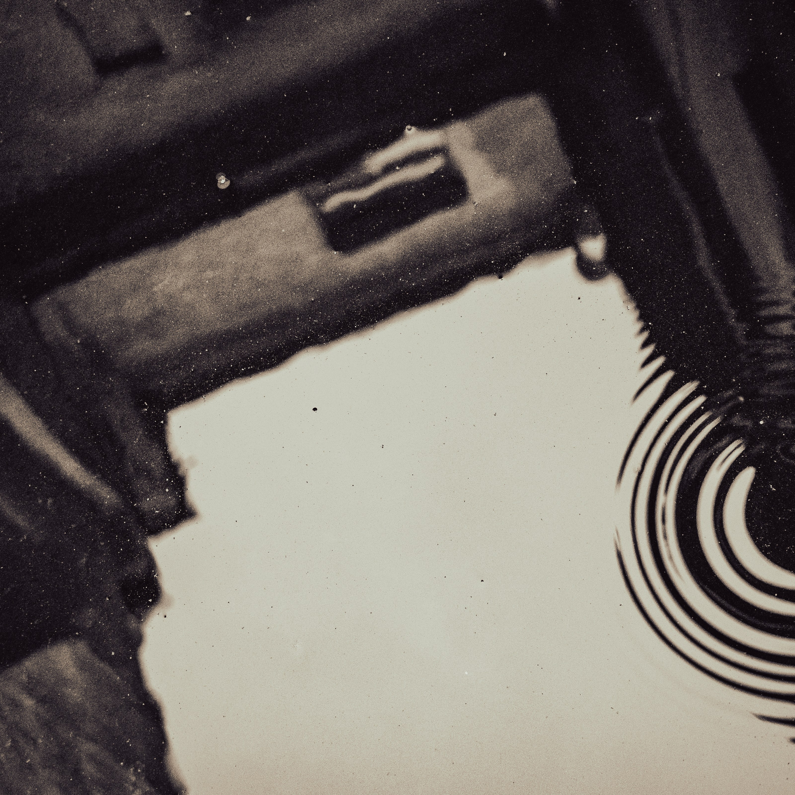 Зазеркалье 2025. Яна Каменская