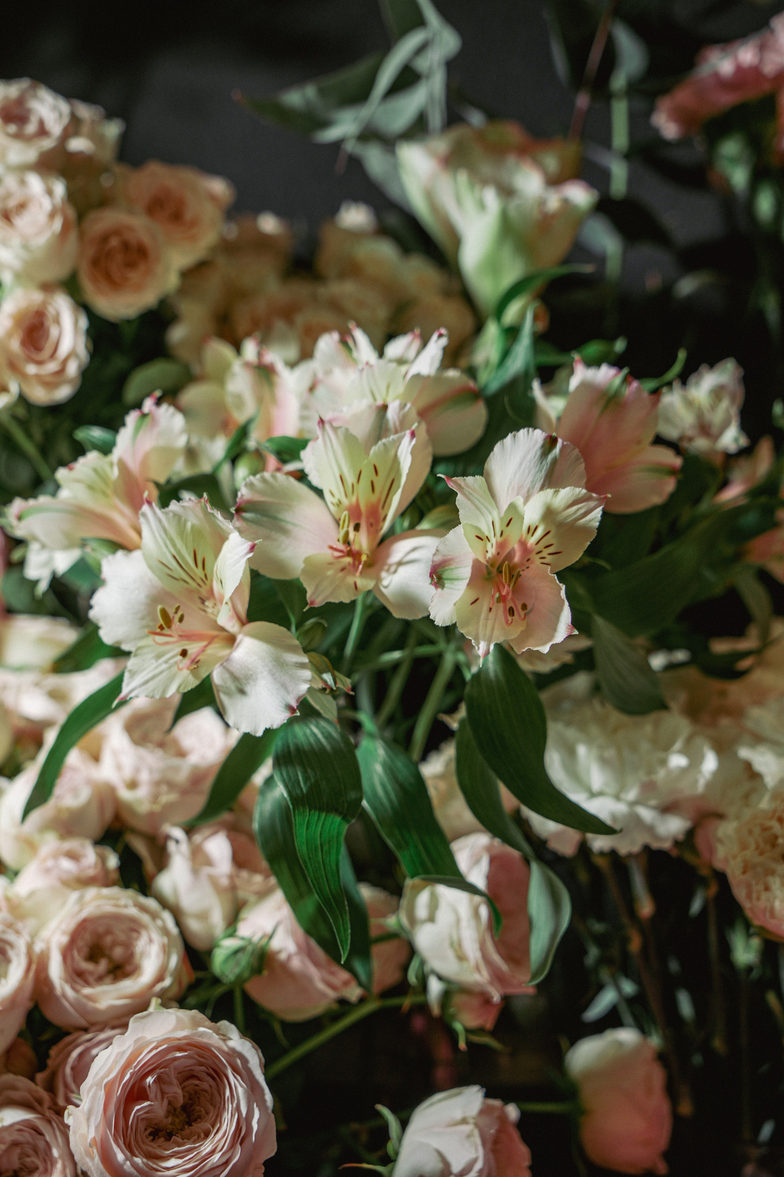 Коммерческая съёмка. Фото и видеосъемка КМВ — свадьбы, недвижимость, меню, туры. Пятигорск, Кисловодск