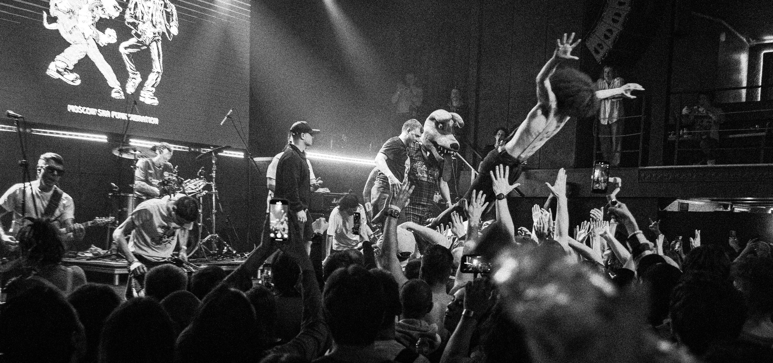 Concerts. Фотограф Алексей Журавлёв
