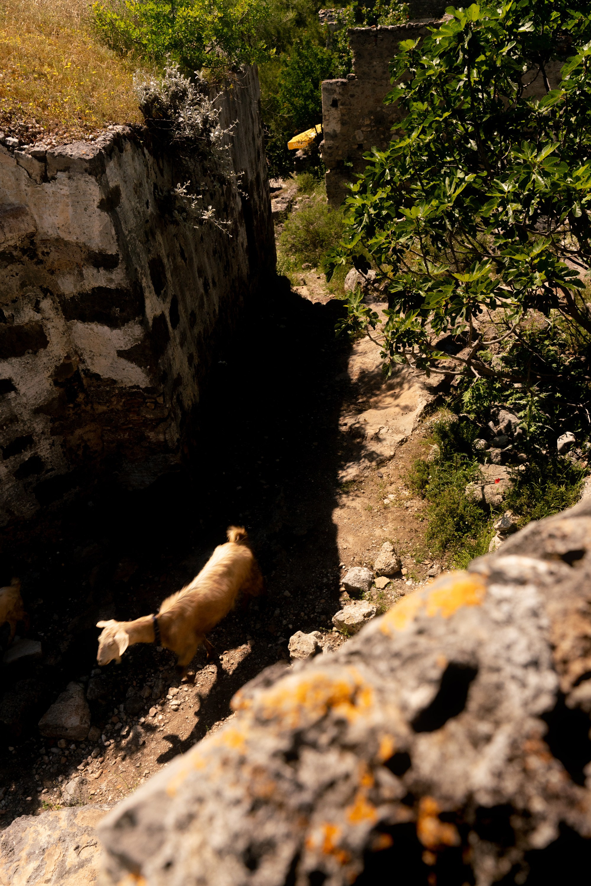 Турция, Греция, Иордания. Фотограф в Хабаровске. Фотография за 24 часа