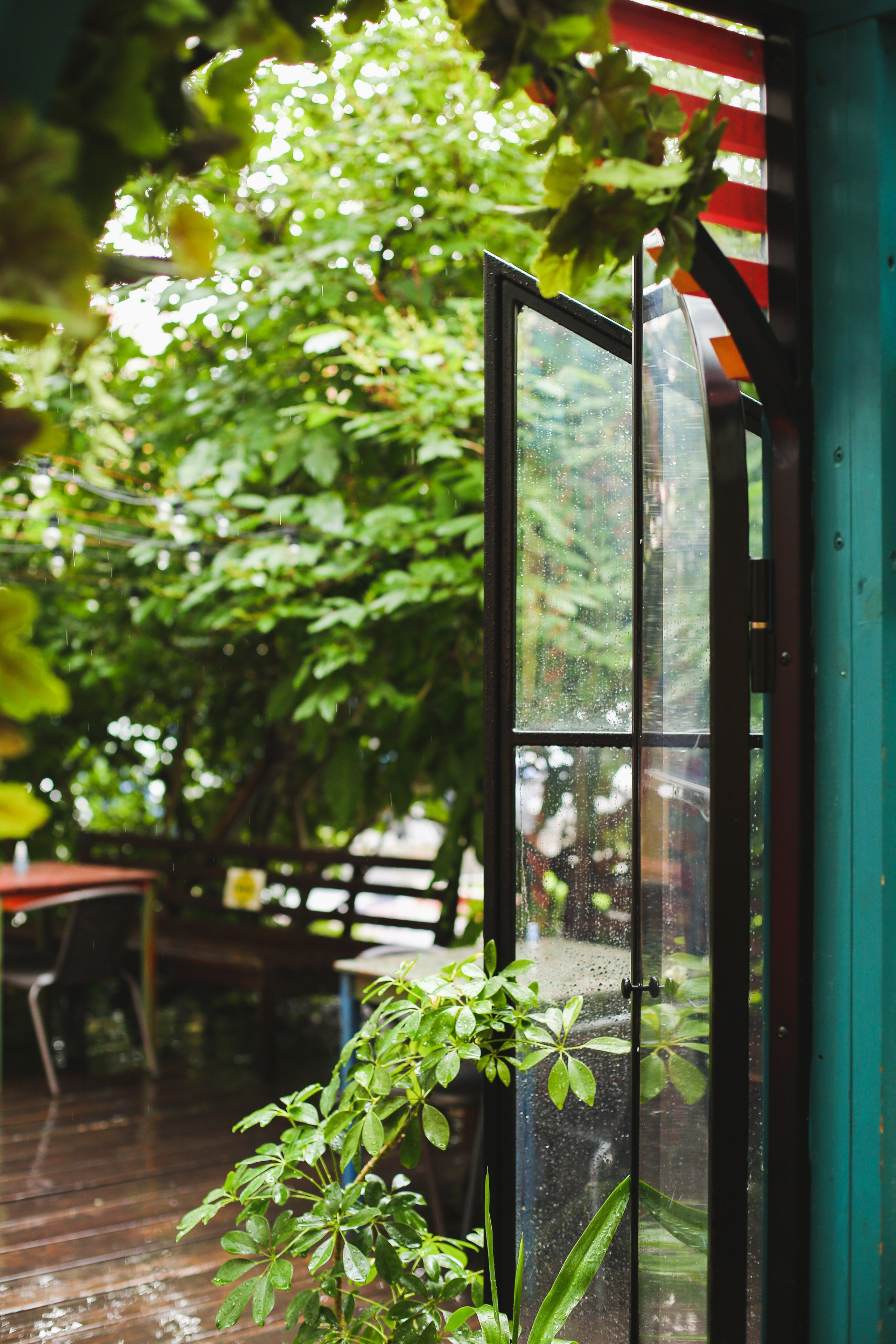 Интерьер. Фуд фотограф новосибирск