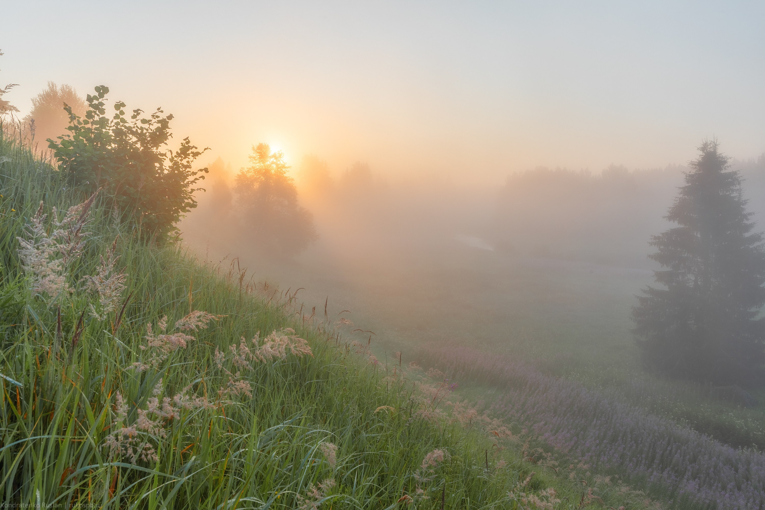 Ленинградская область. Архитектурный и пейзажный фотограф Кондратенко Руслан, Санкт-Петербург