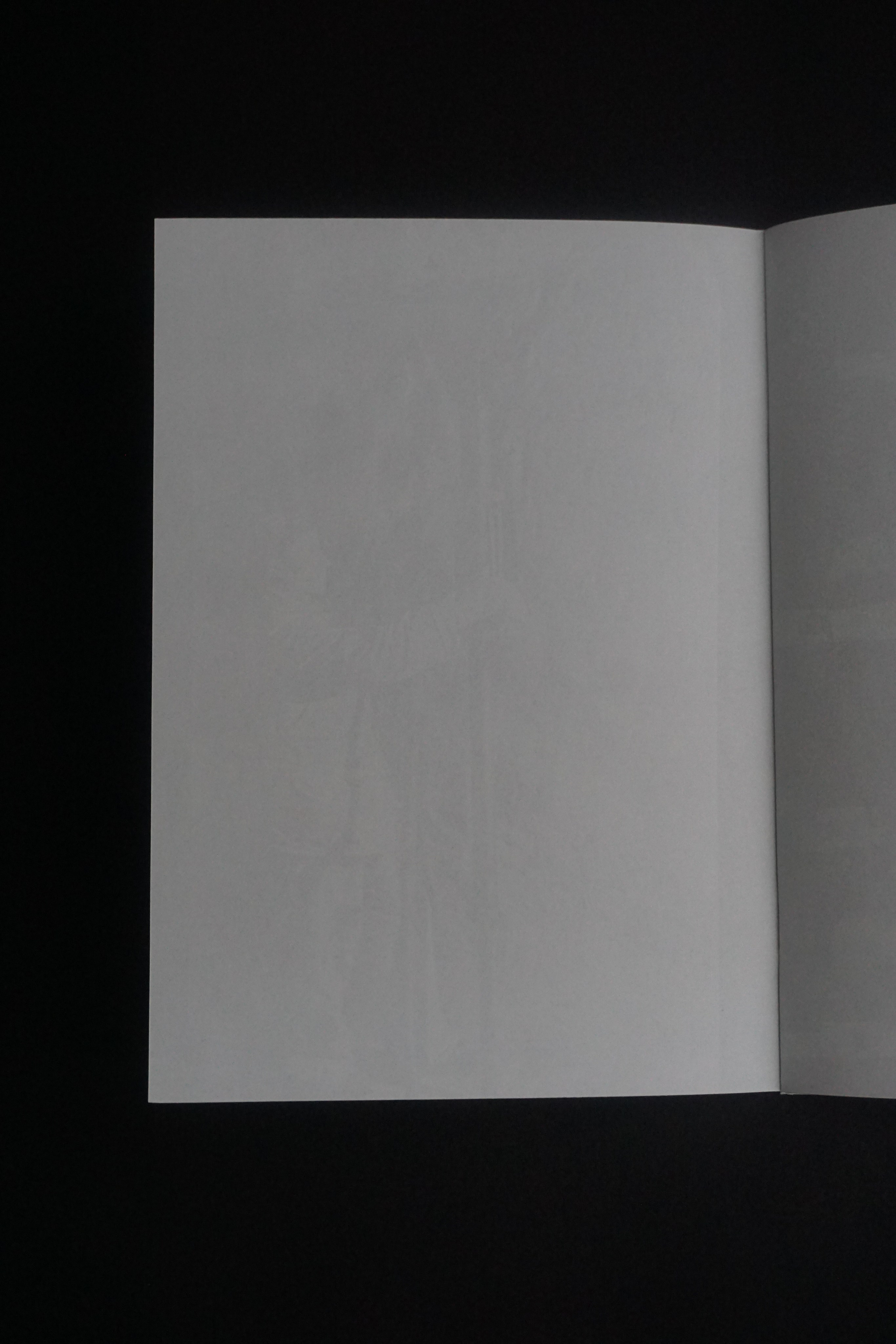 Overview. Anastasia Maryasova