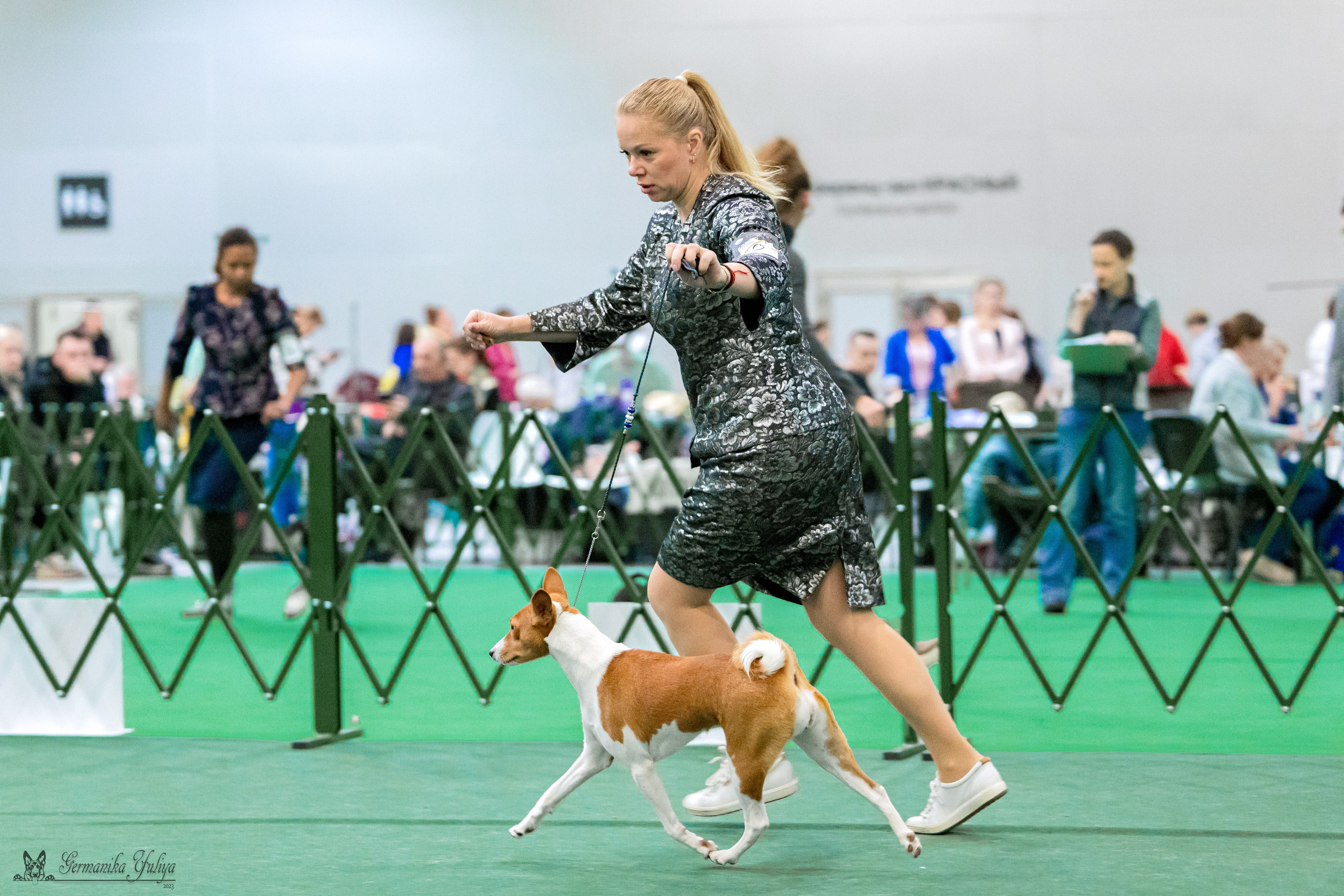 Сфера 29.10,Крокус 4.11,Сфера 12.11.2023. Фотограф-анималист Юлия Германика