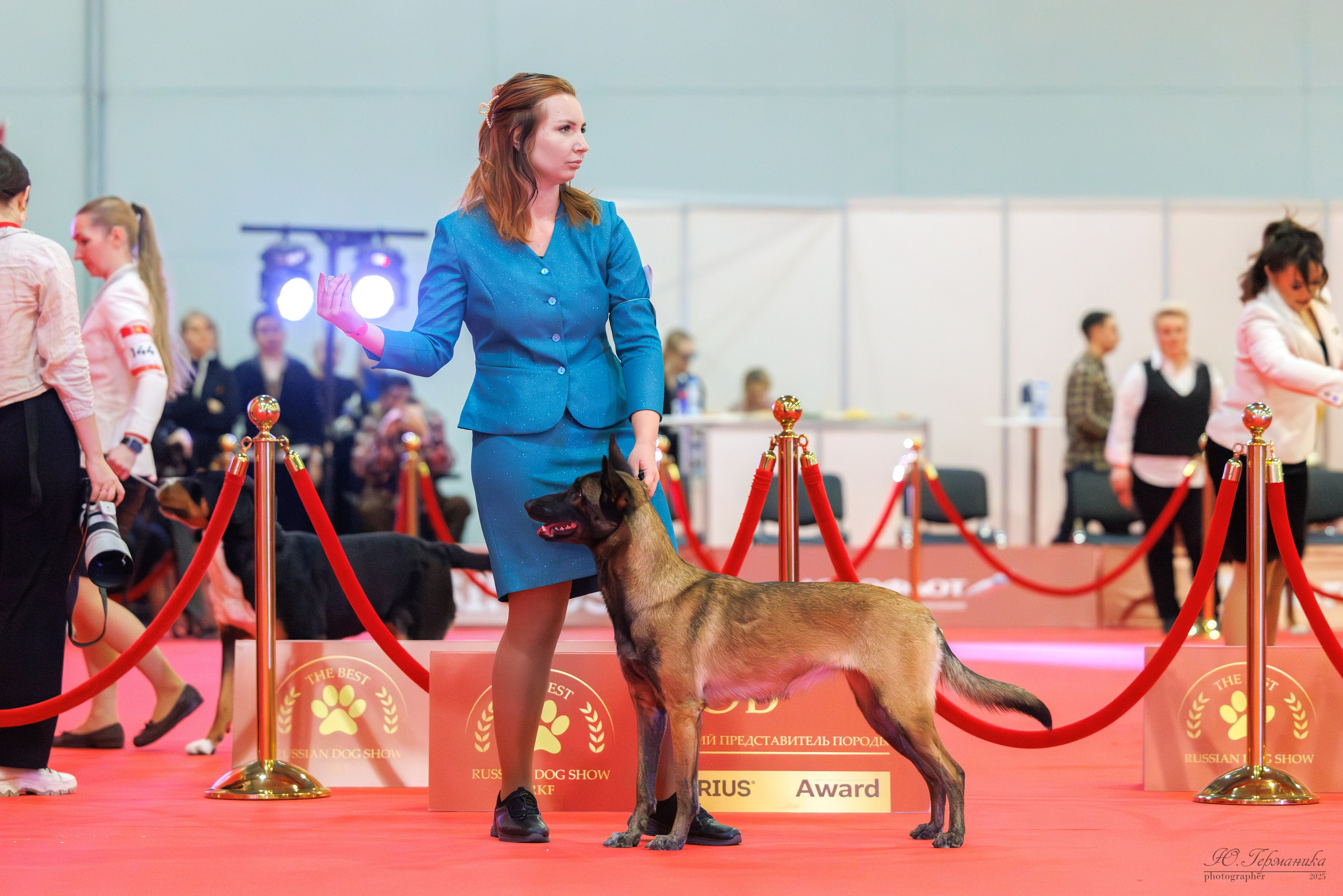 Лучшие собаки России 2025. Фотограф-анималист Юлия Германика
