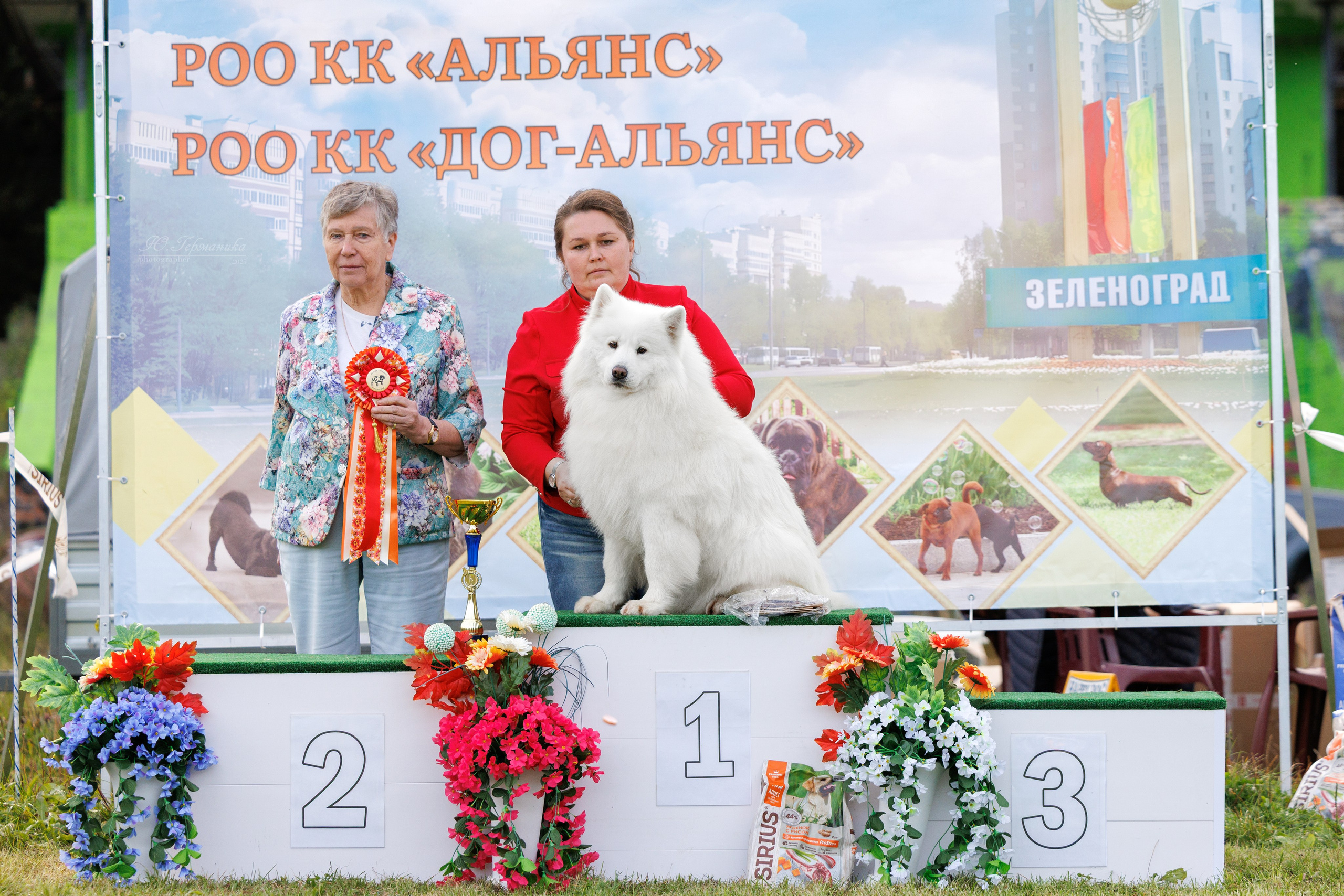 Зеленоград 13.09.2025. Фотограф-анималист Юлия Германика