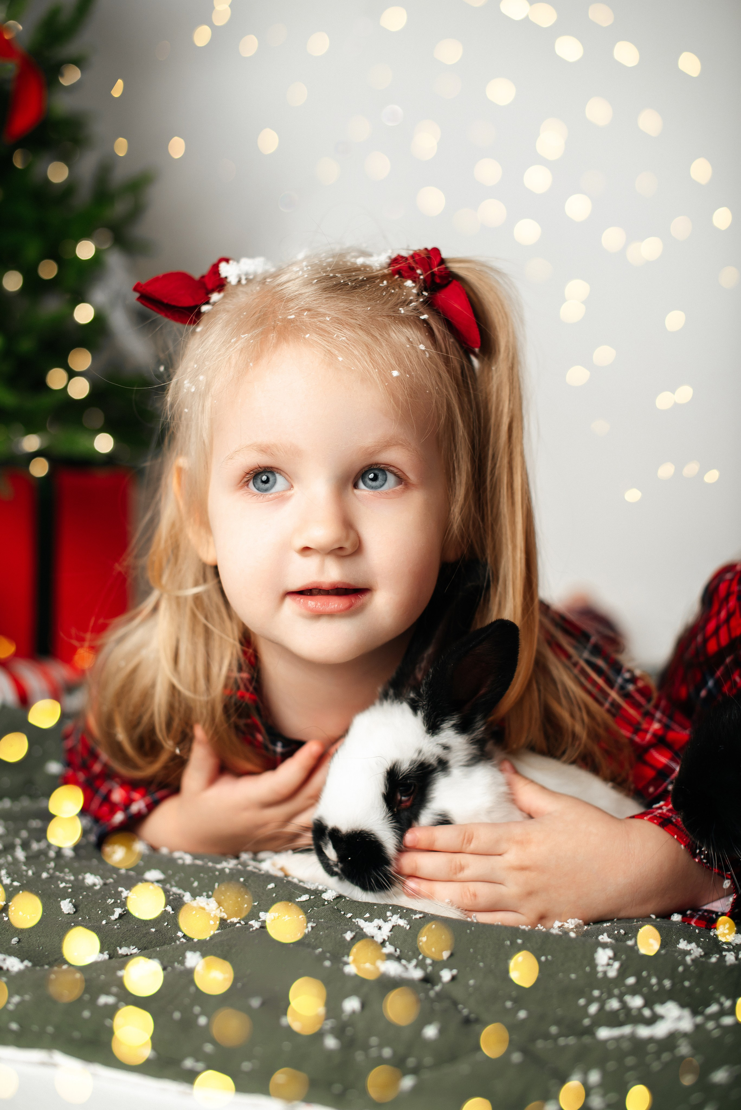 Новый год. Фотограф новорожденных и беременности Сергиев Посад Усачева Ирина