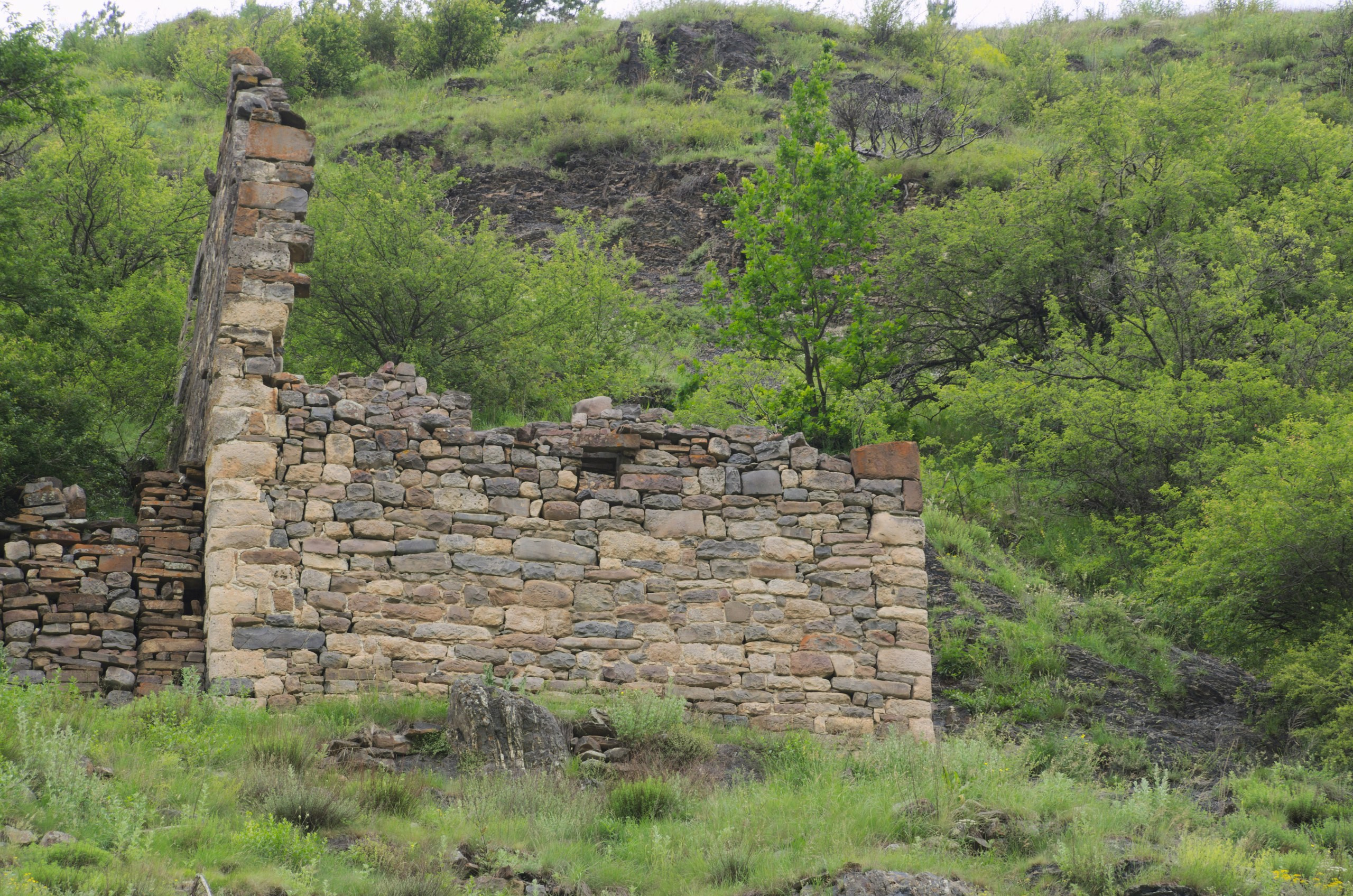 Чечня+Ингушетия | 10-12.06.2017. Галерея Фантим