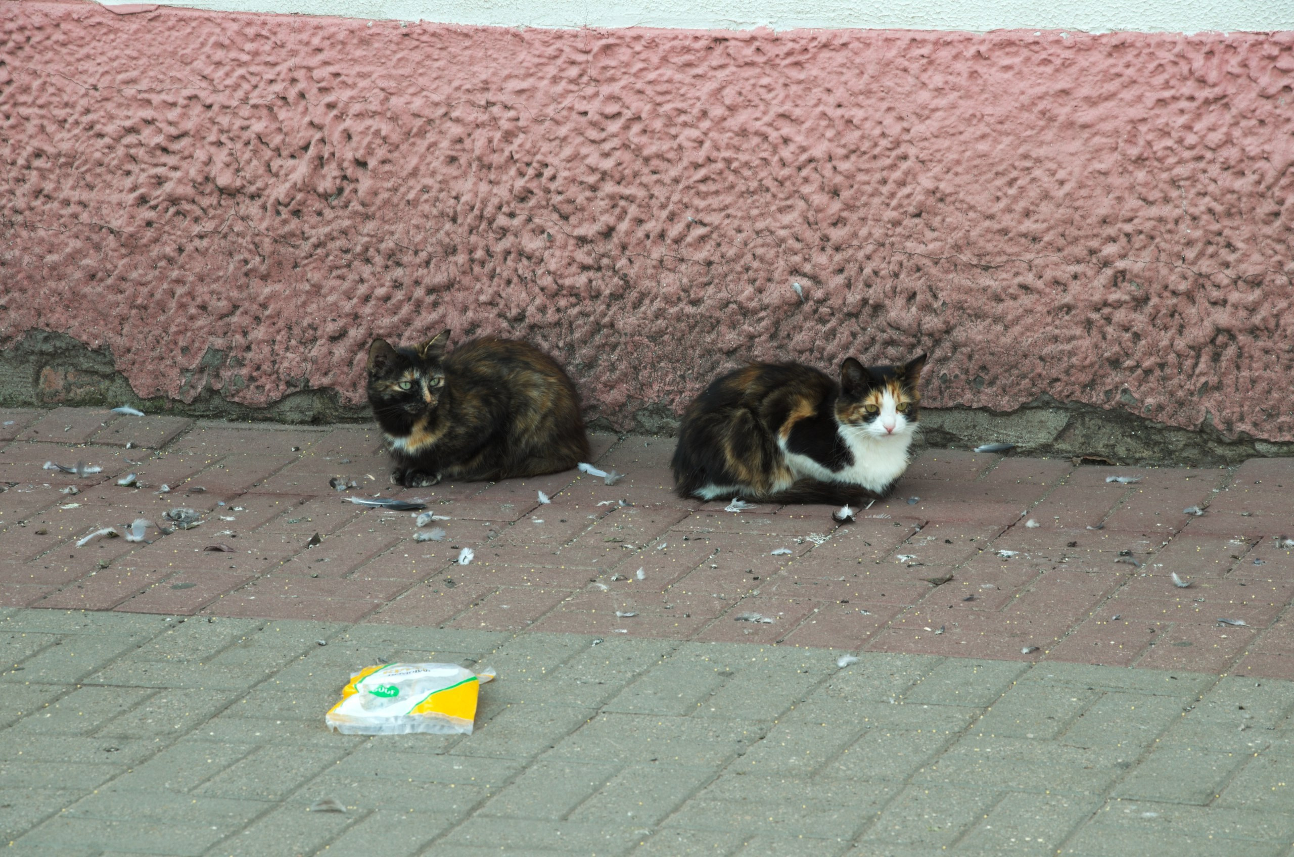 Егорьевск | 10.09.2016. Галерея Фантим