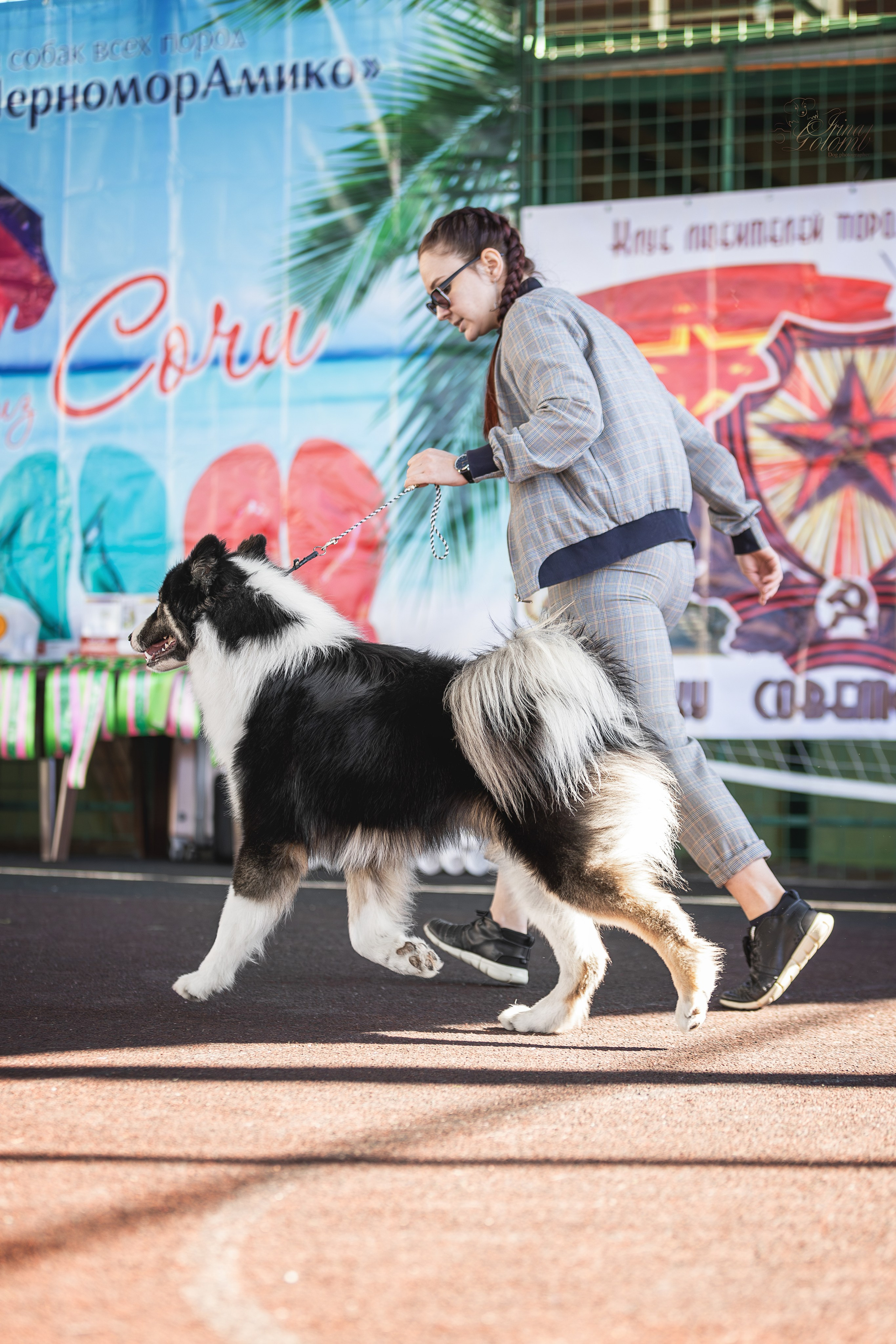 Выставка 25.02.2024. Ирина Голомб|Фотограф-анималист в  Сочи и Калининграде