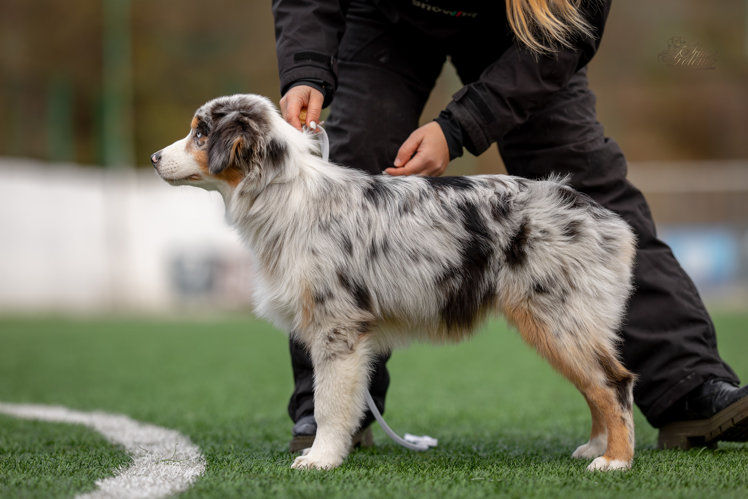 Выставка 17.12.23. Ирина Голомб|Фотограф-анималист в  Сочи и Калининграде