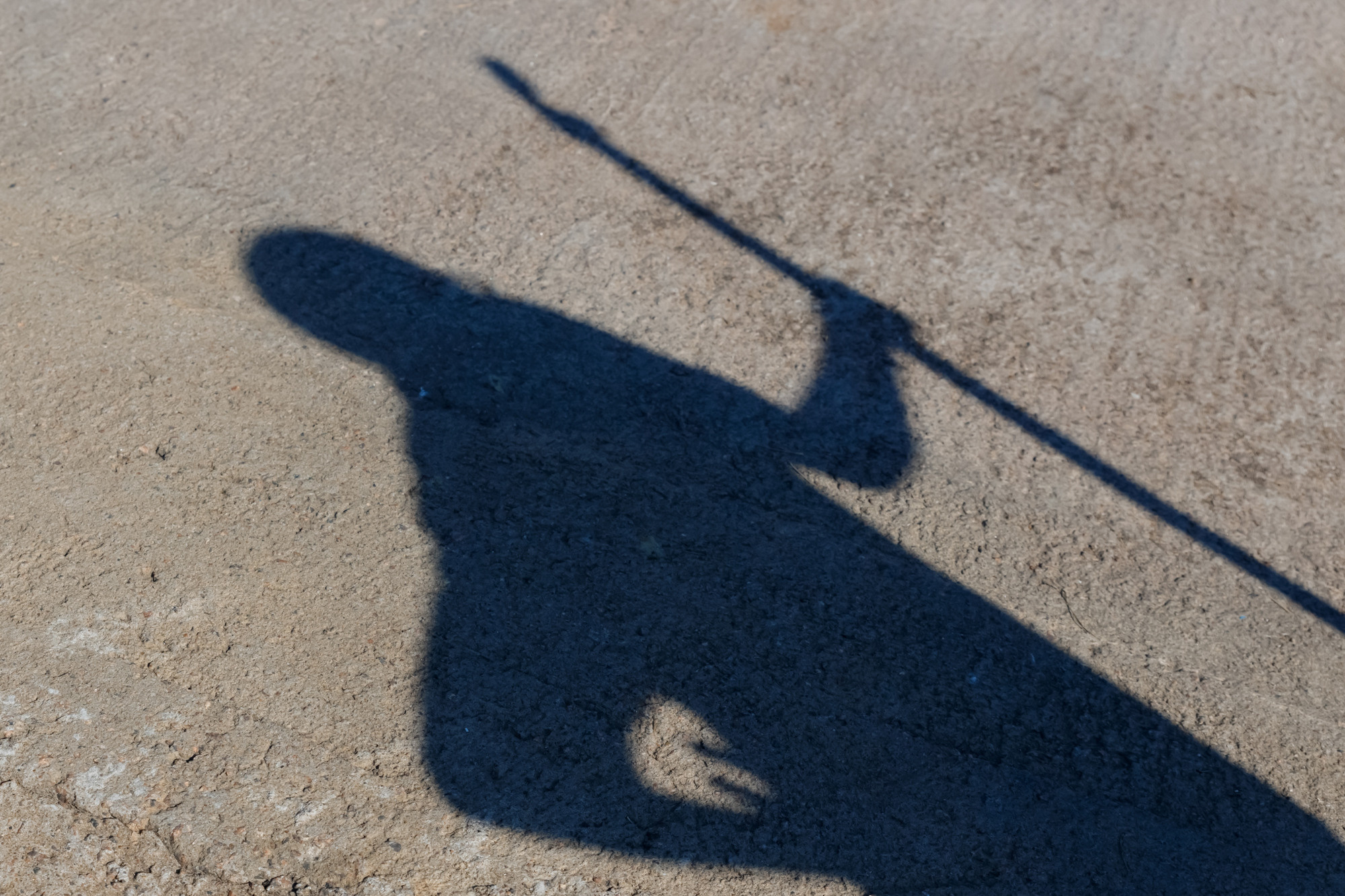 Тимбилдинг «ИННОТЕХ». Свадебный и эвент фотограф в Санкт-Петербурге Власов Сергей