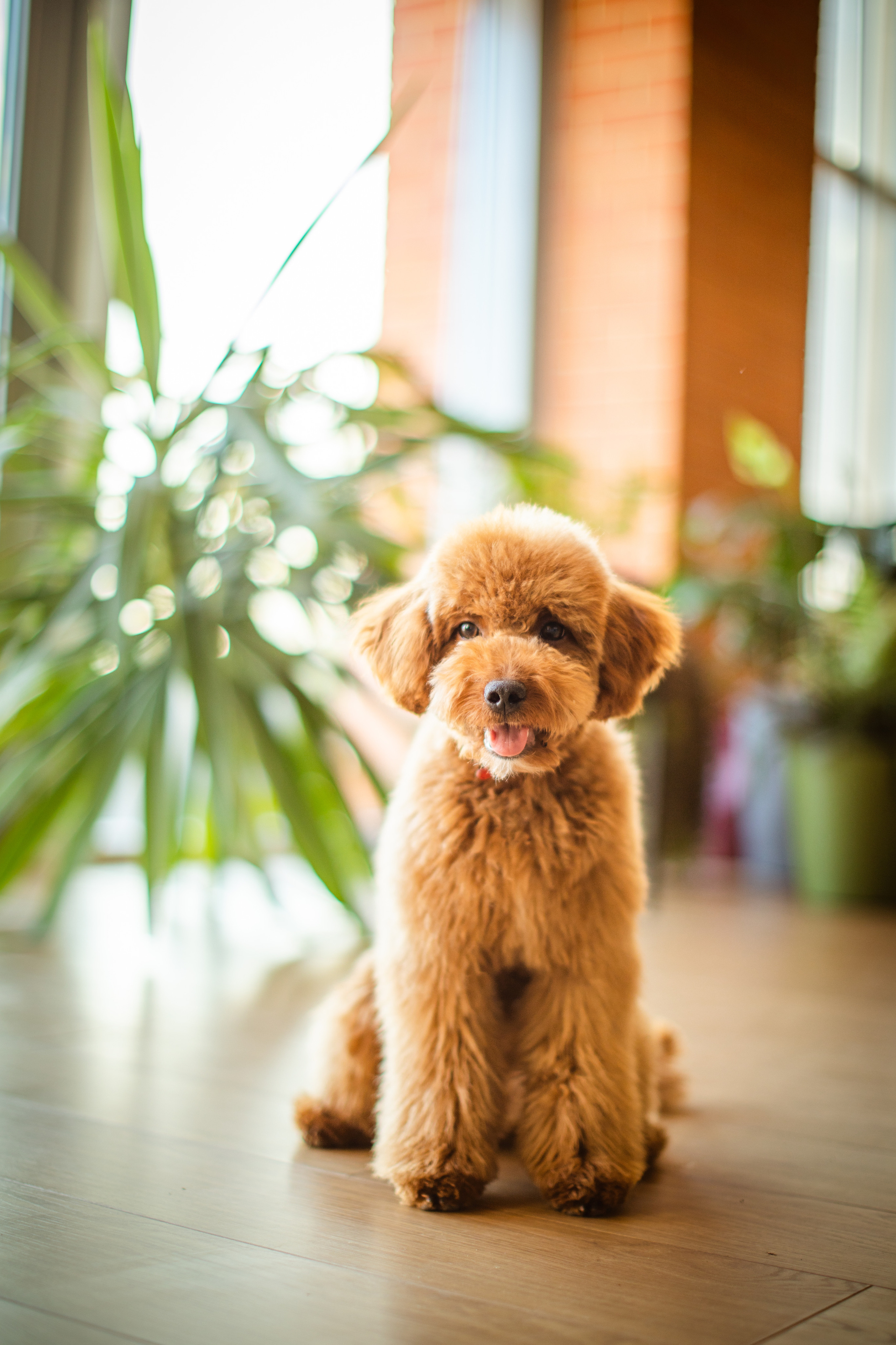 Портфолио. Фотограф Наталья Штукина