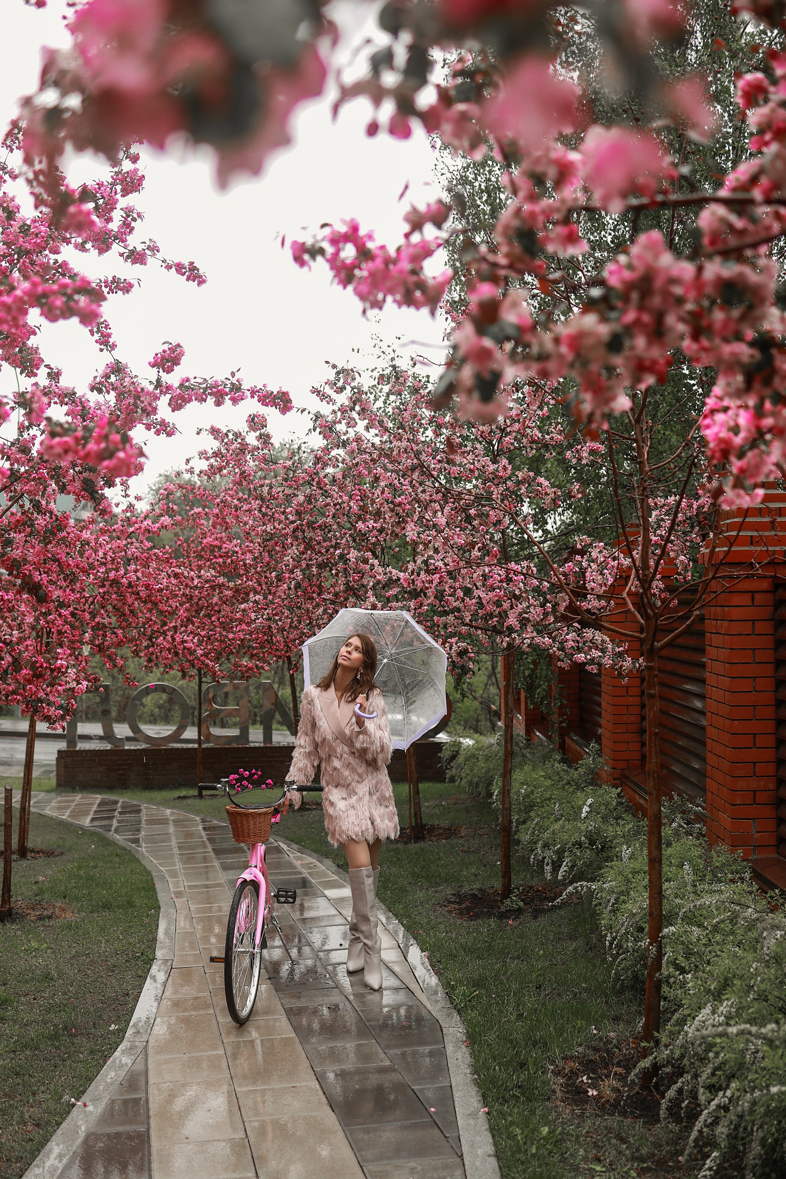 Фотосессия в Сакуре под дождем. Иванова Ирина Свадебный и семейный фотограф г. Уфа