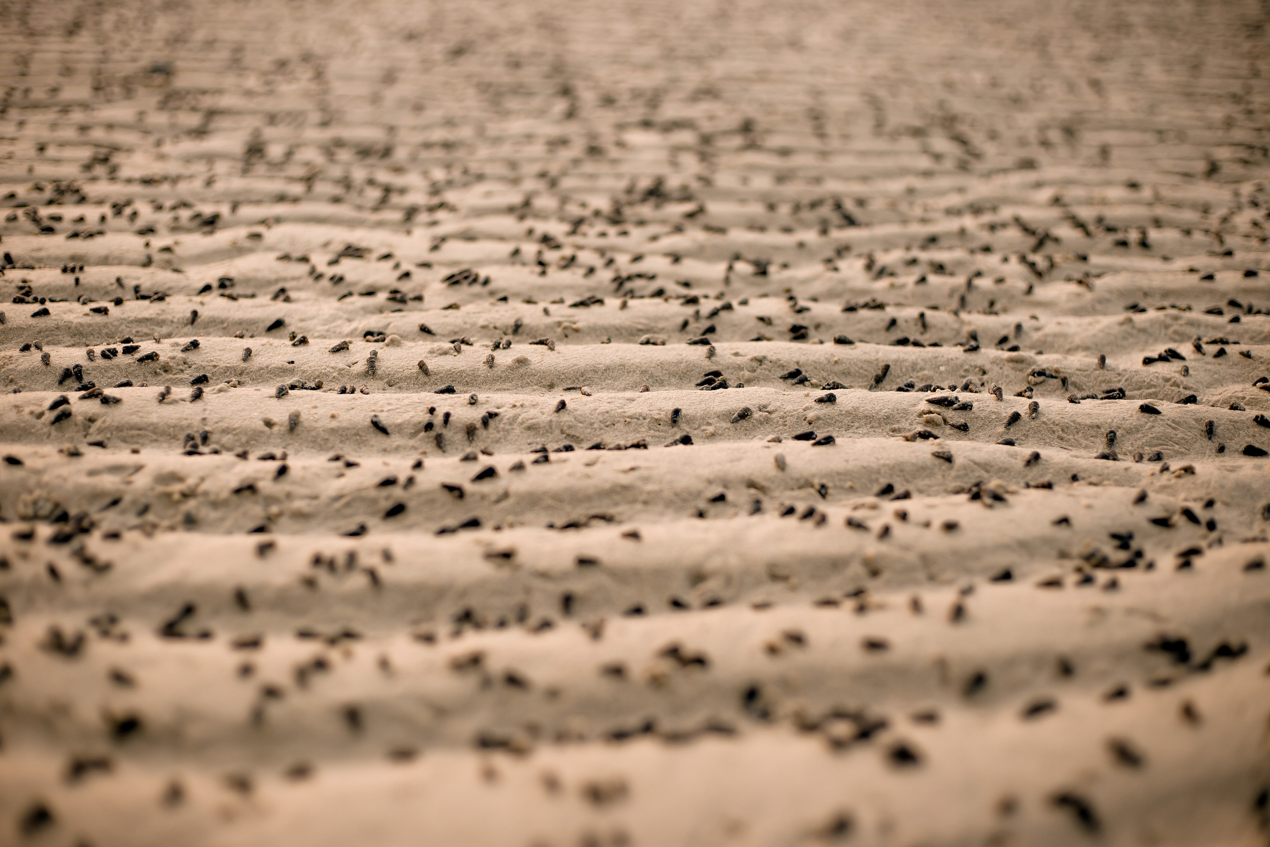 Thailand 2023, Samui. Art Photographer