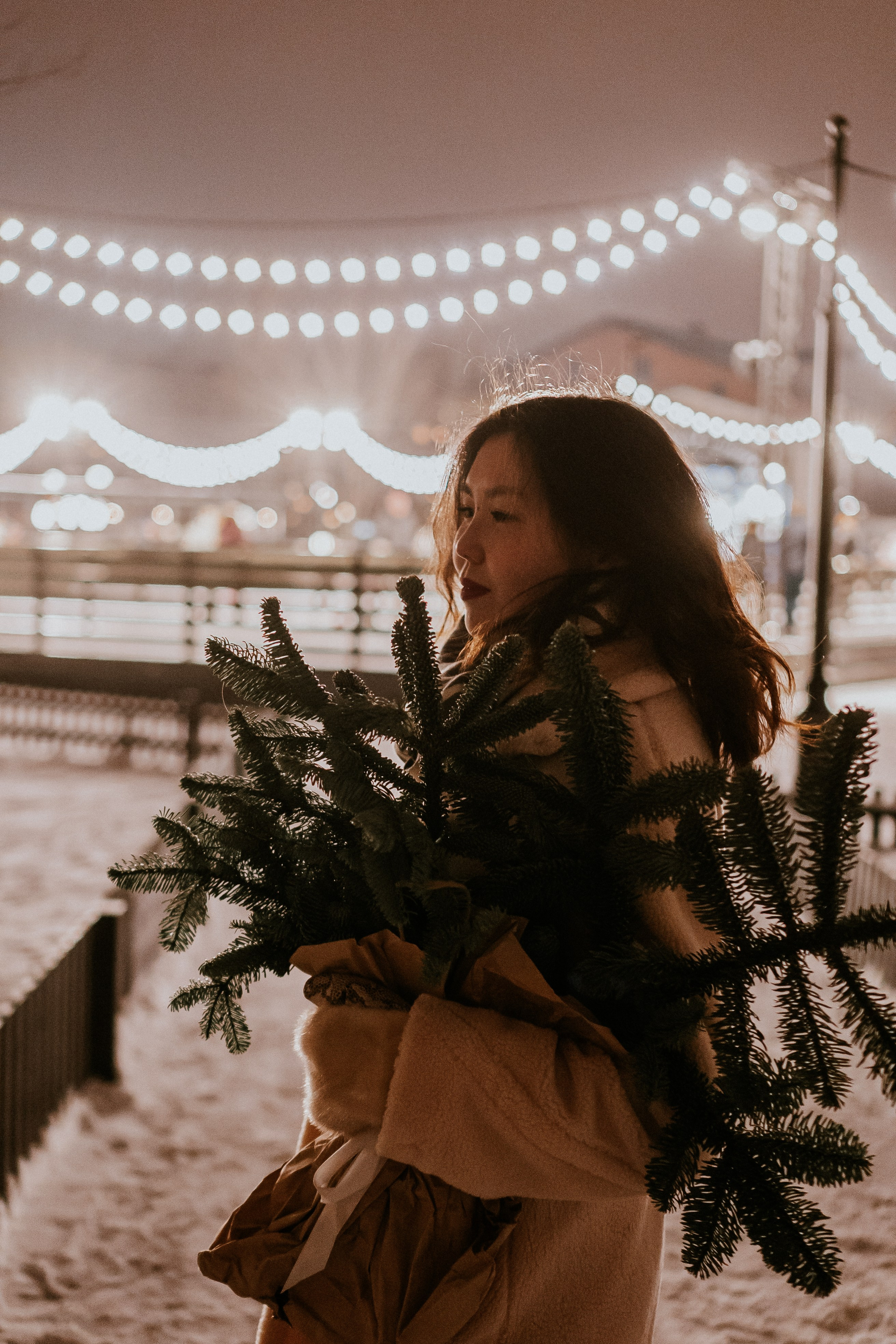 Зимняя сказка в Новой Голандии. Профессиональный фотограф, Санкт-Петербург — Виктория Богомолова