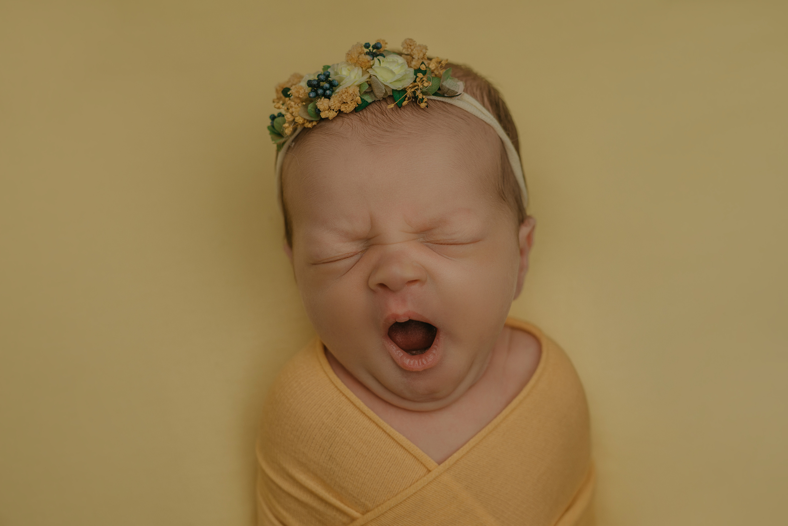 Вероника. Фотограф новорожденных Белгород