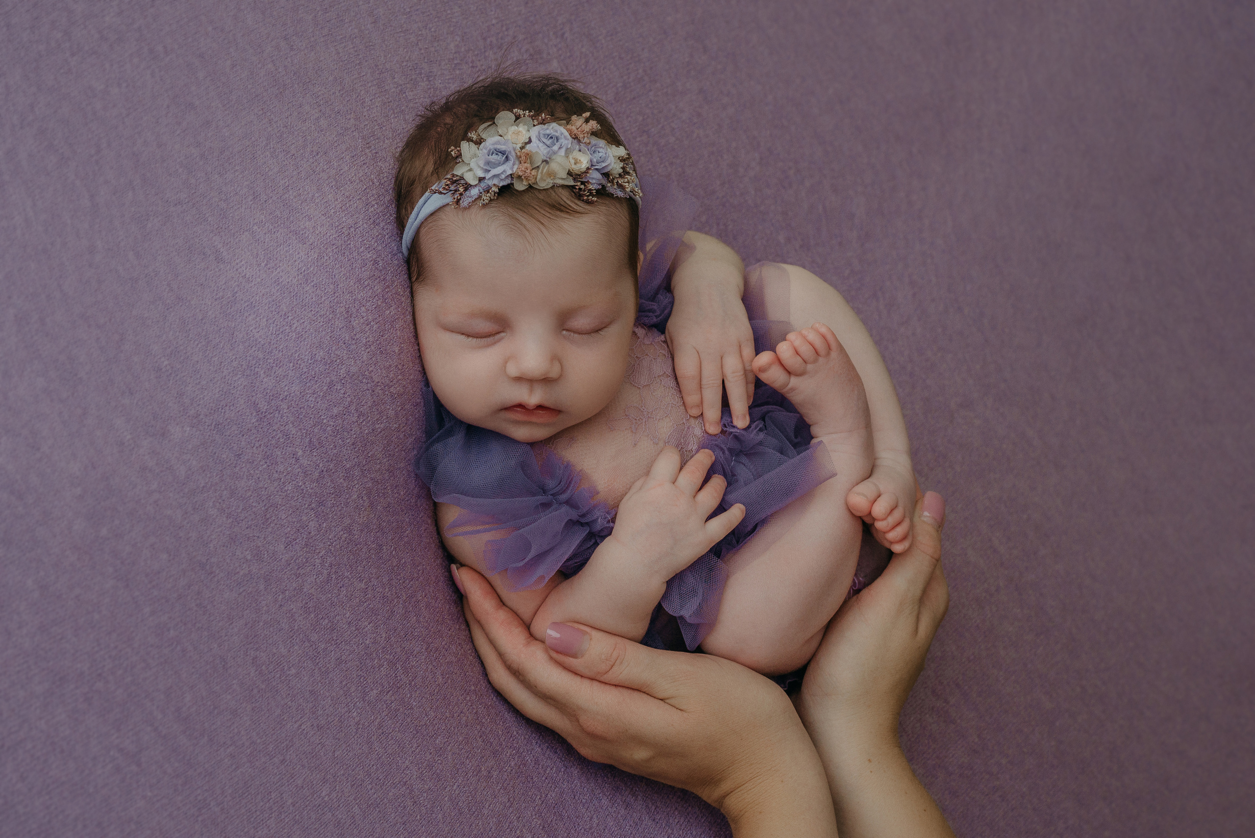 Валерия. Фотограф новорожденных Белгород