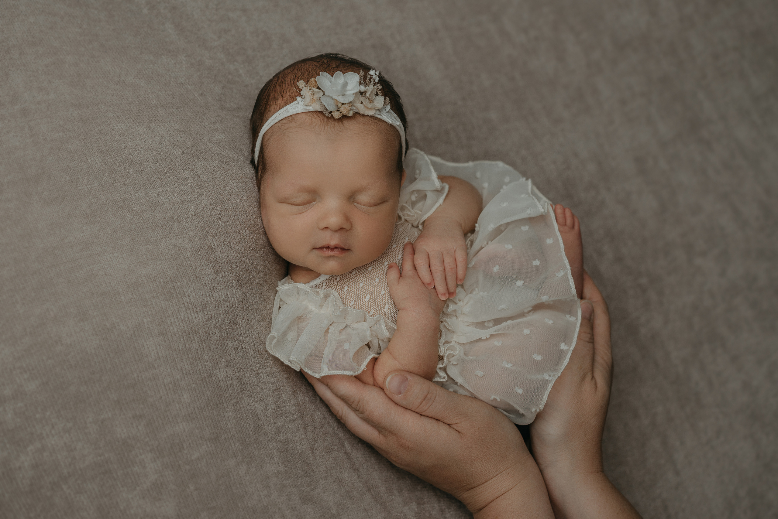 Вероника. Фотограф новорожденных Белгород