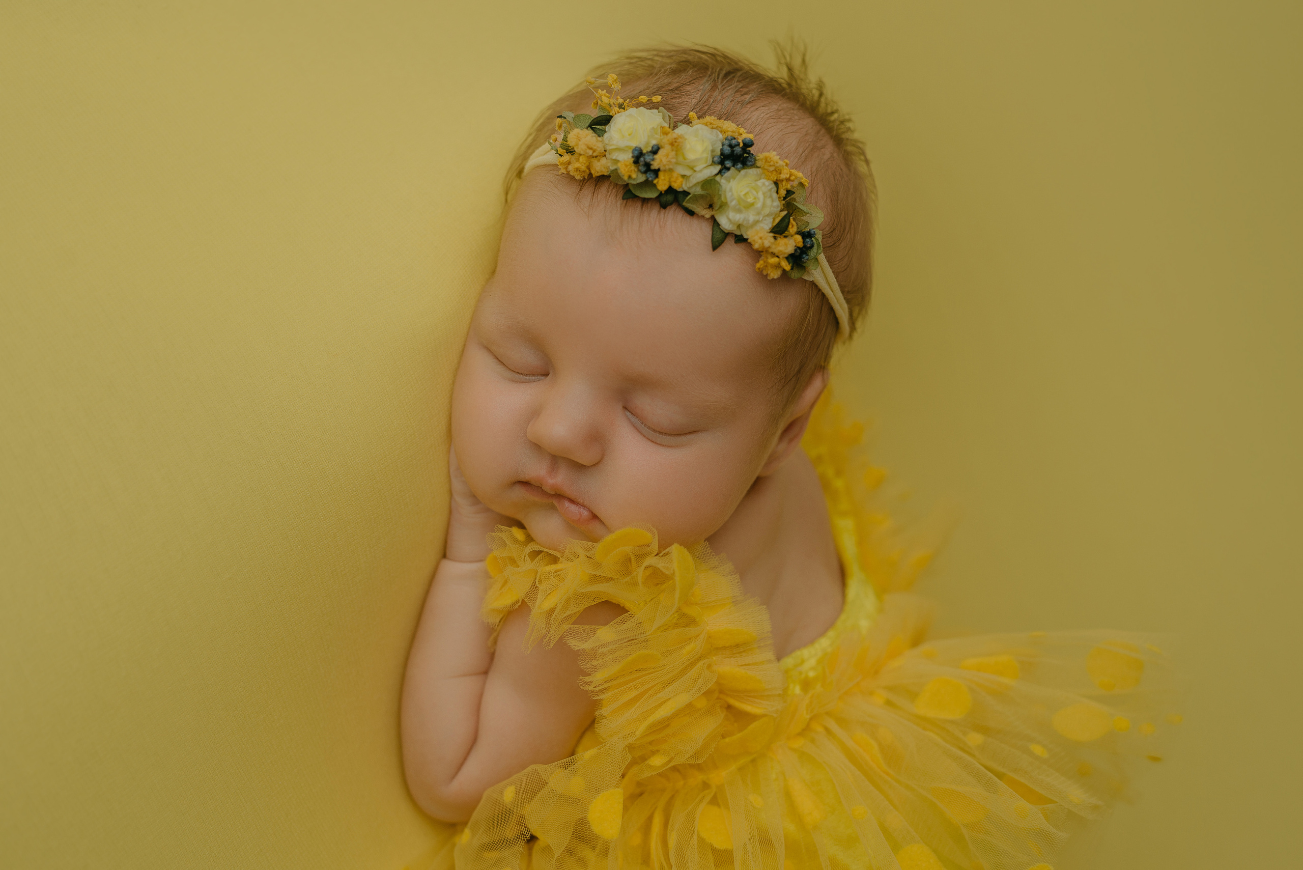 Варя. Фотограф новорожденных Белгород