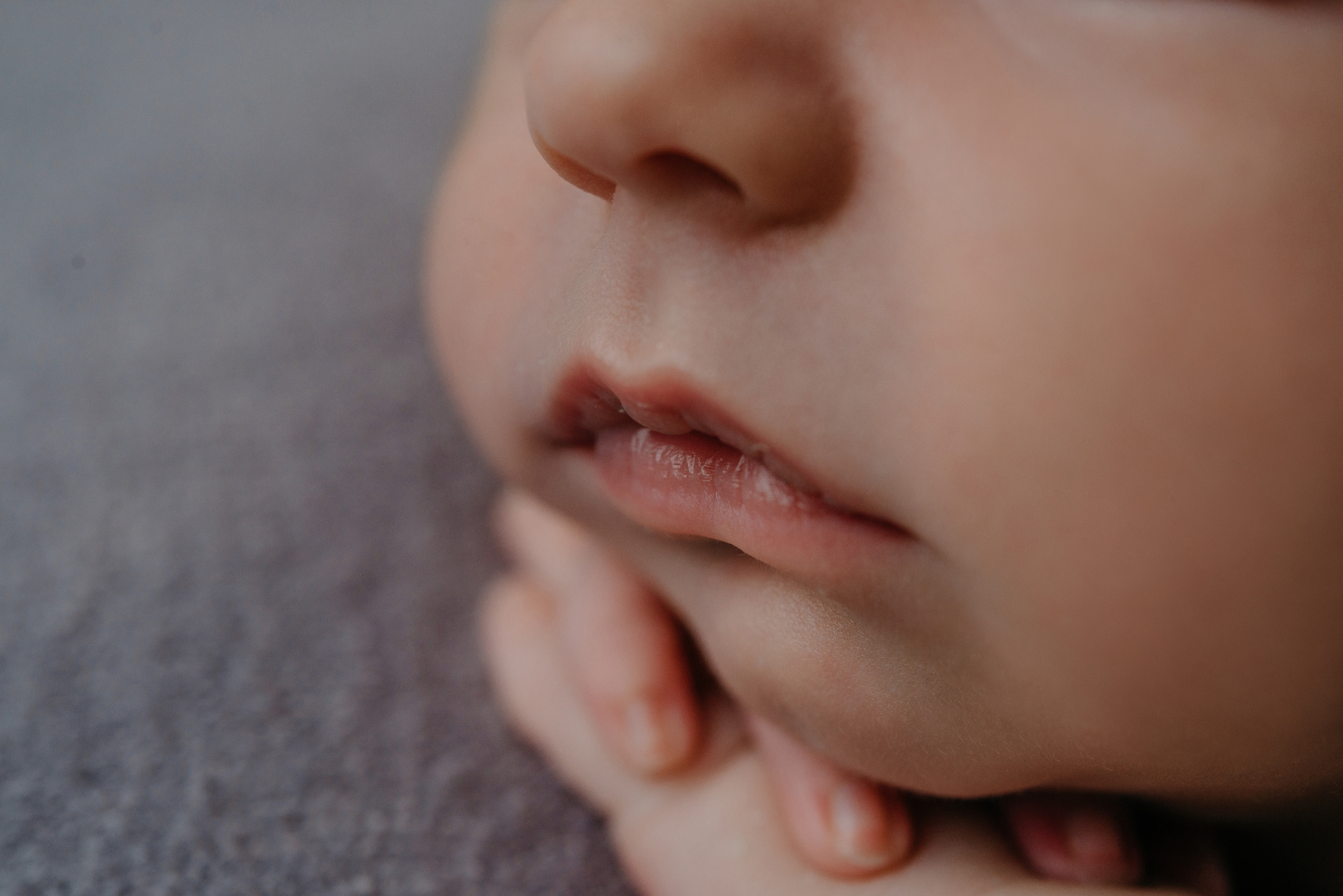 Глеб. Фотограф новорожденных Белгород