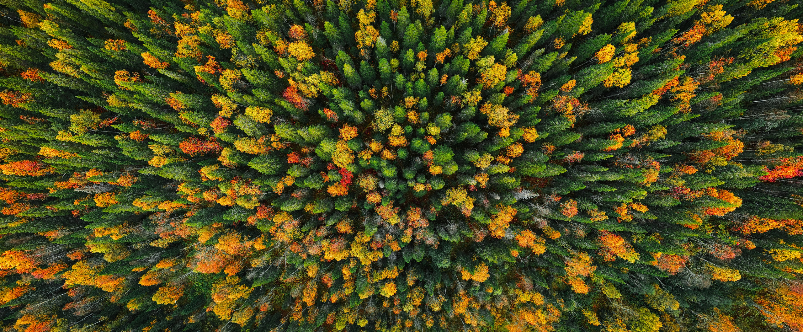 Фото и видео. ФОТОСТОК С ТУРОВ