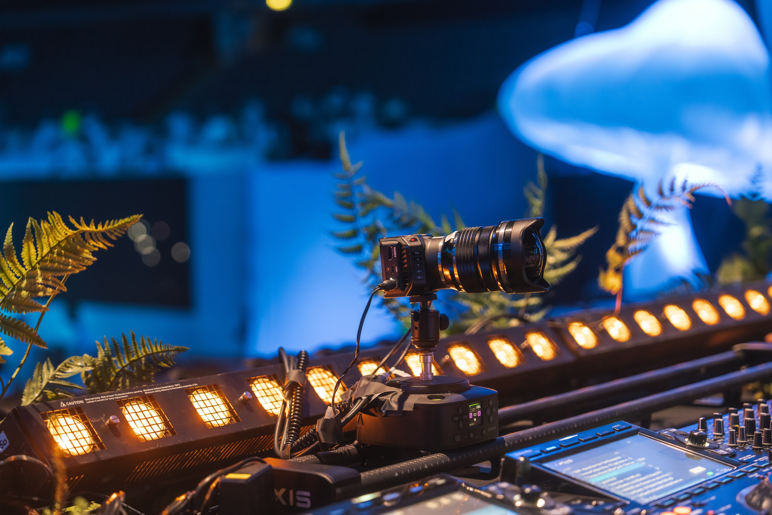 БЕЛАЯ 2025. Святослав Буньков | фотограф