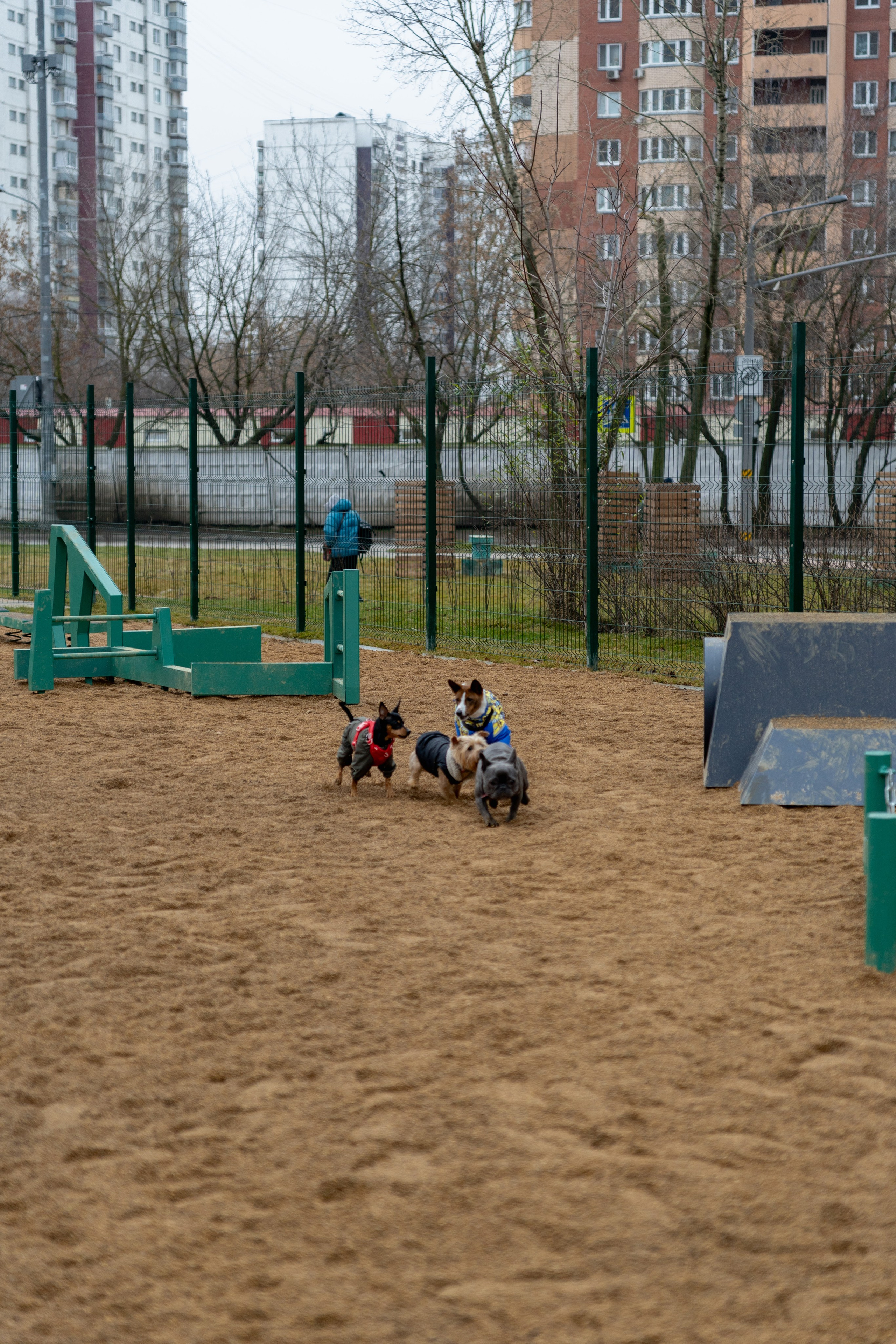 Площалка. Фотограф в Москве Лера Голубенко