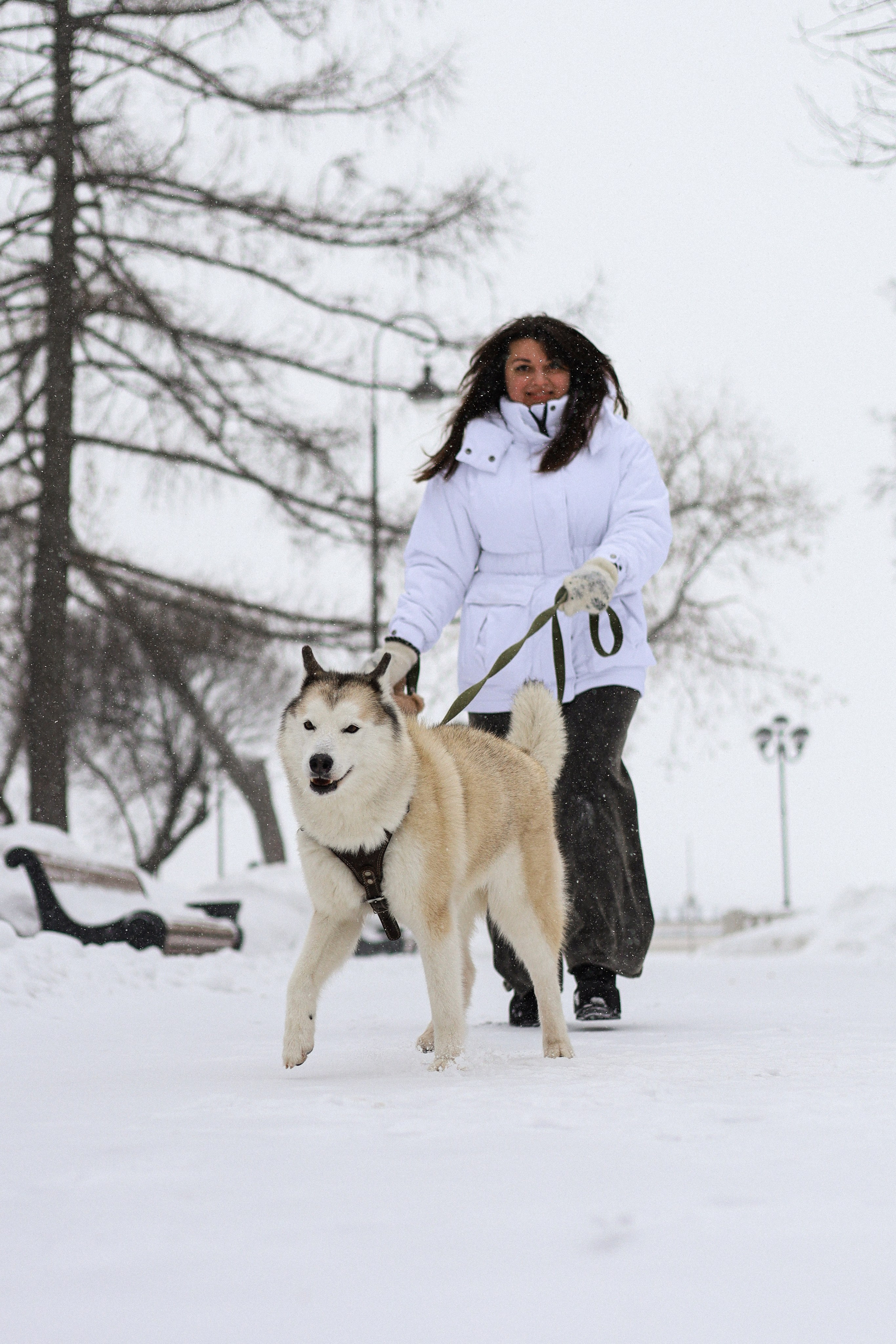 Мила, Лиза и Матвей. Фотограф-анималист Ксения Шевцова|Москва