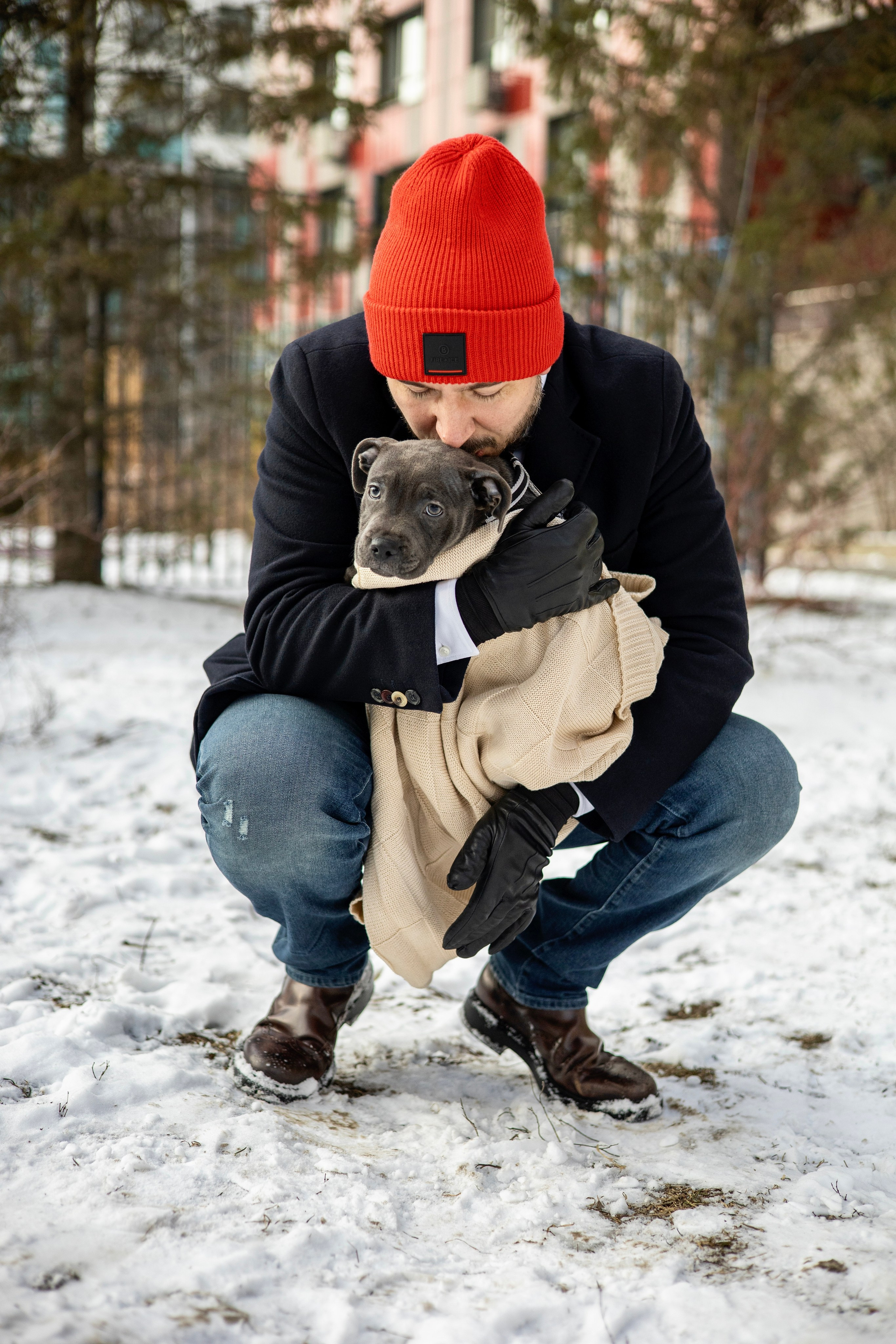 Дарси, Тимур и Юля. Фотограф-анималист Ксения Шевцова|Москва
