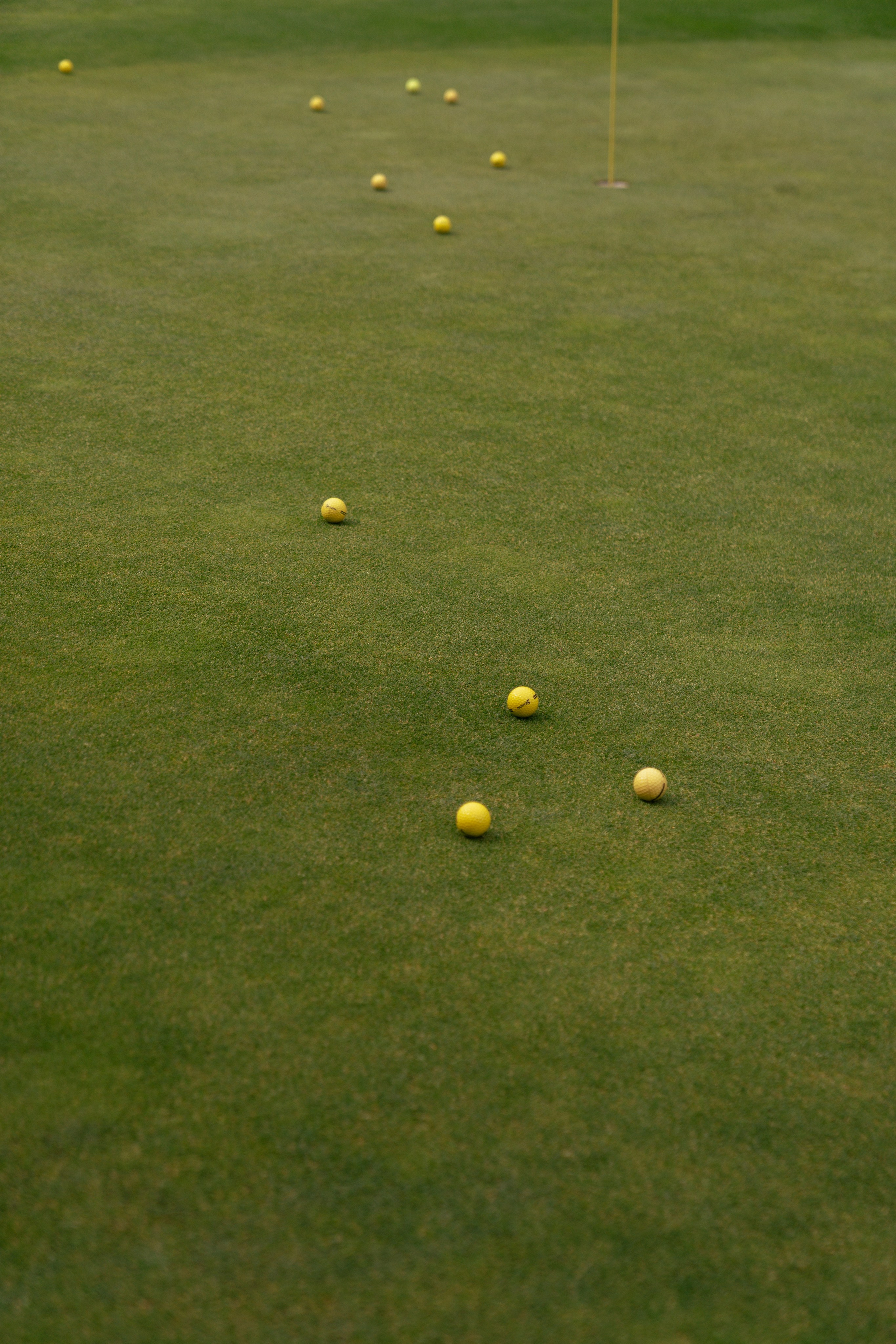 Гольф. Свадебный фотограф в Москве Кристина Чехова