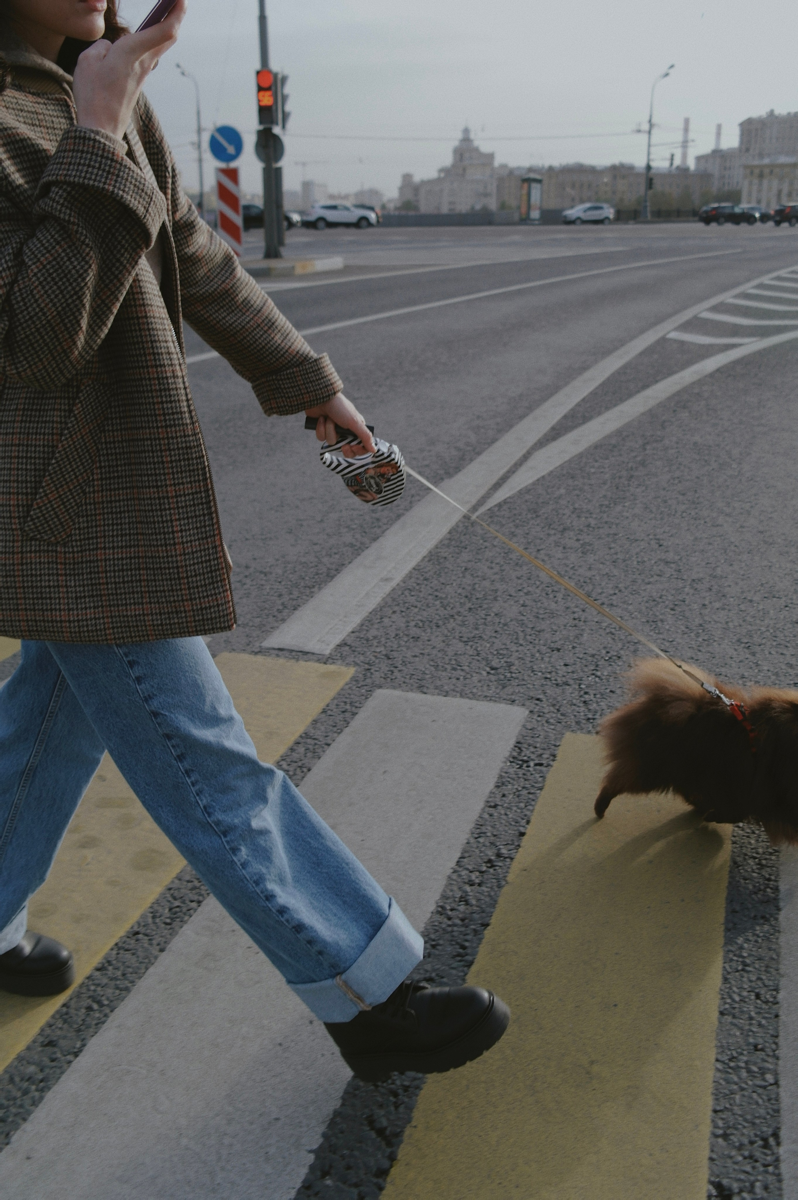 Питомцы. Татьян гертье