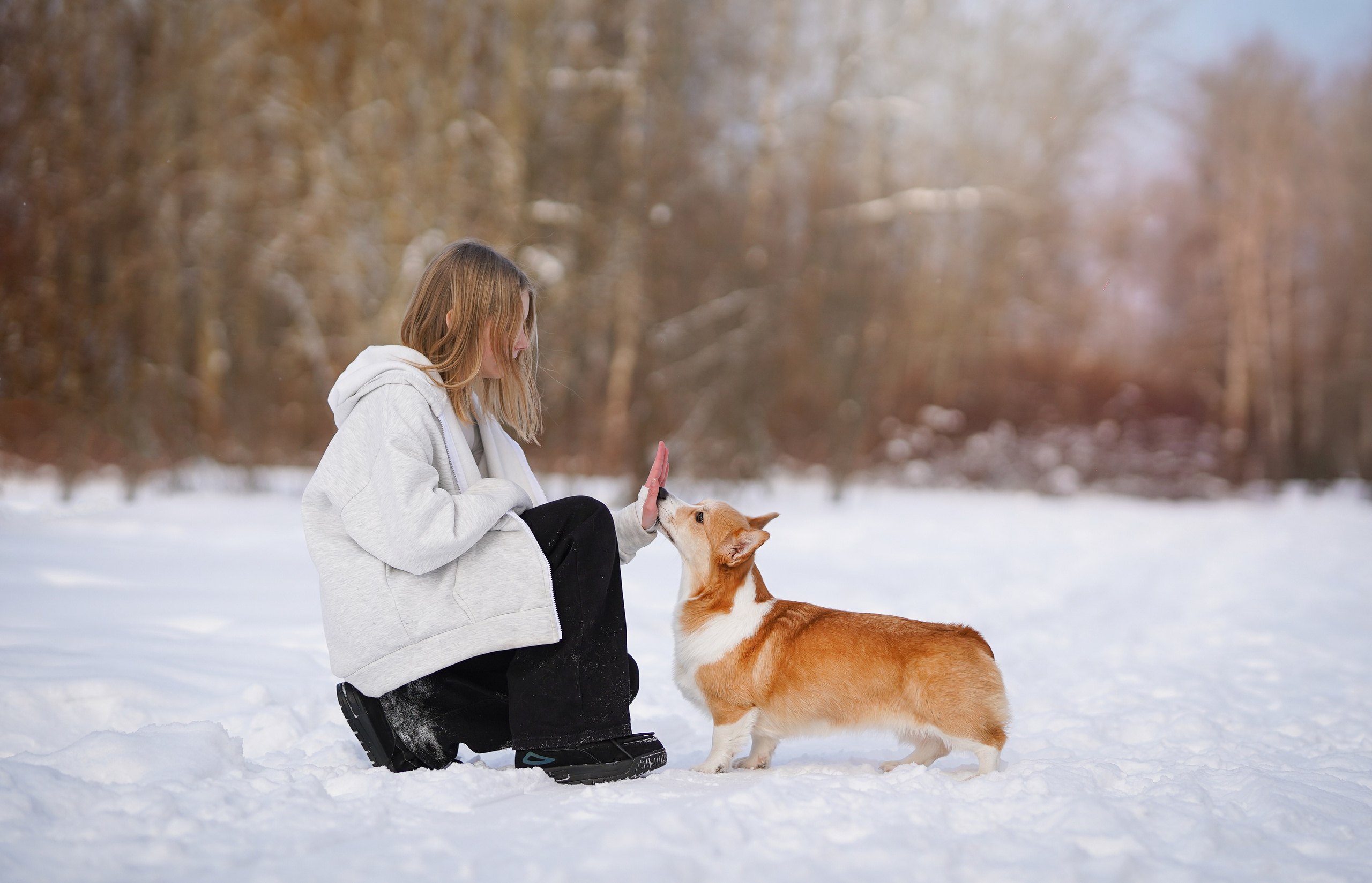 Кристина и Лаки. Фотограф-анималист в Санкт-Петербурге Яна Мартынова