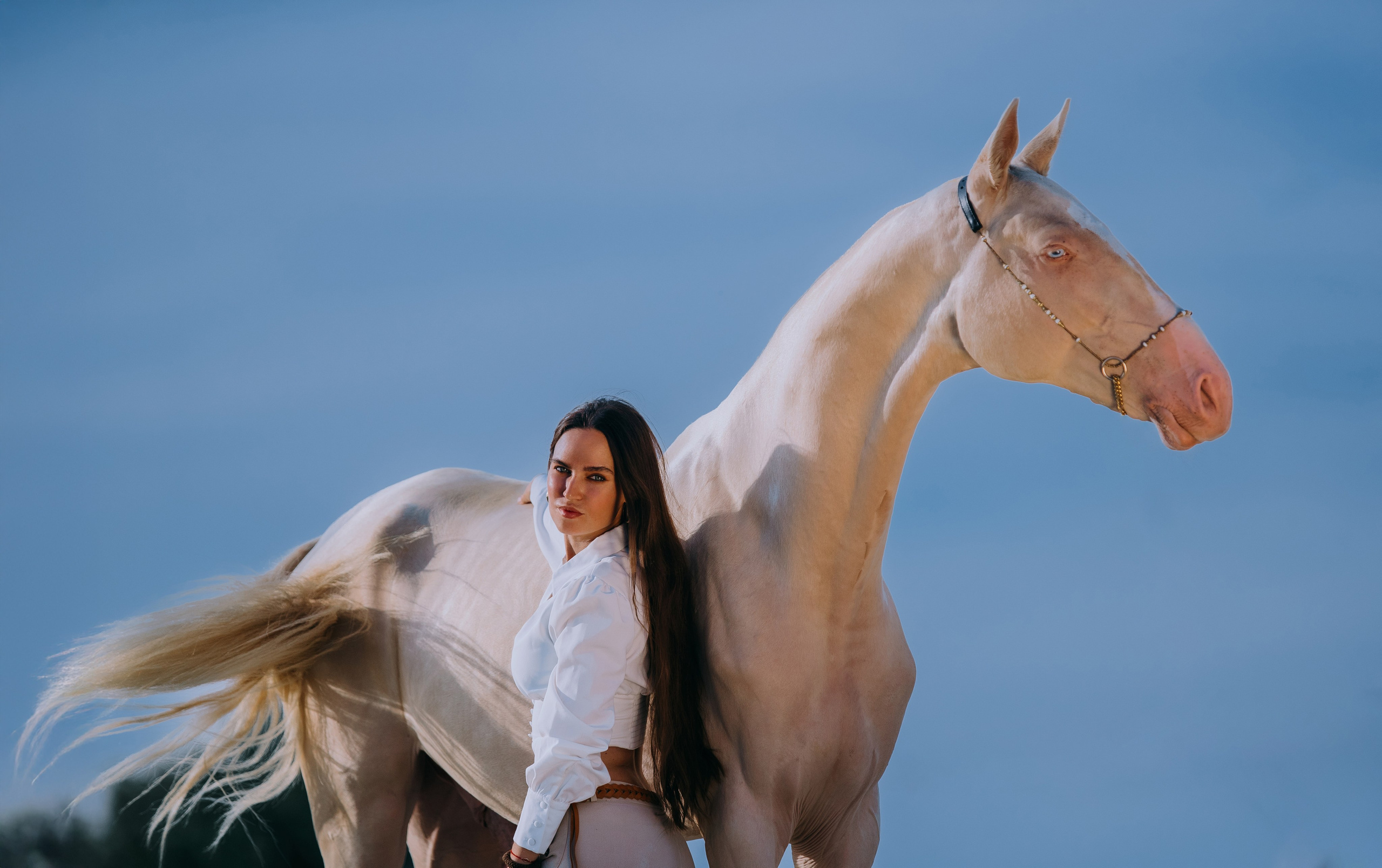 Люба и Айвар. Фотограф-анималист Ксендзова Кристина