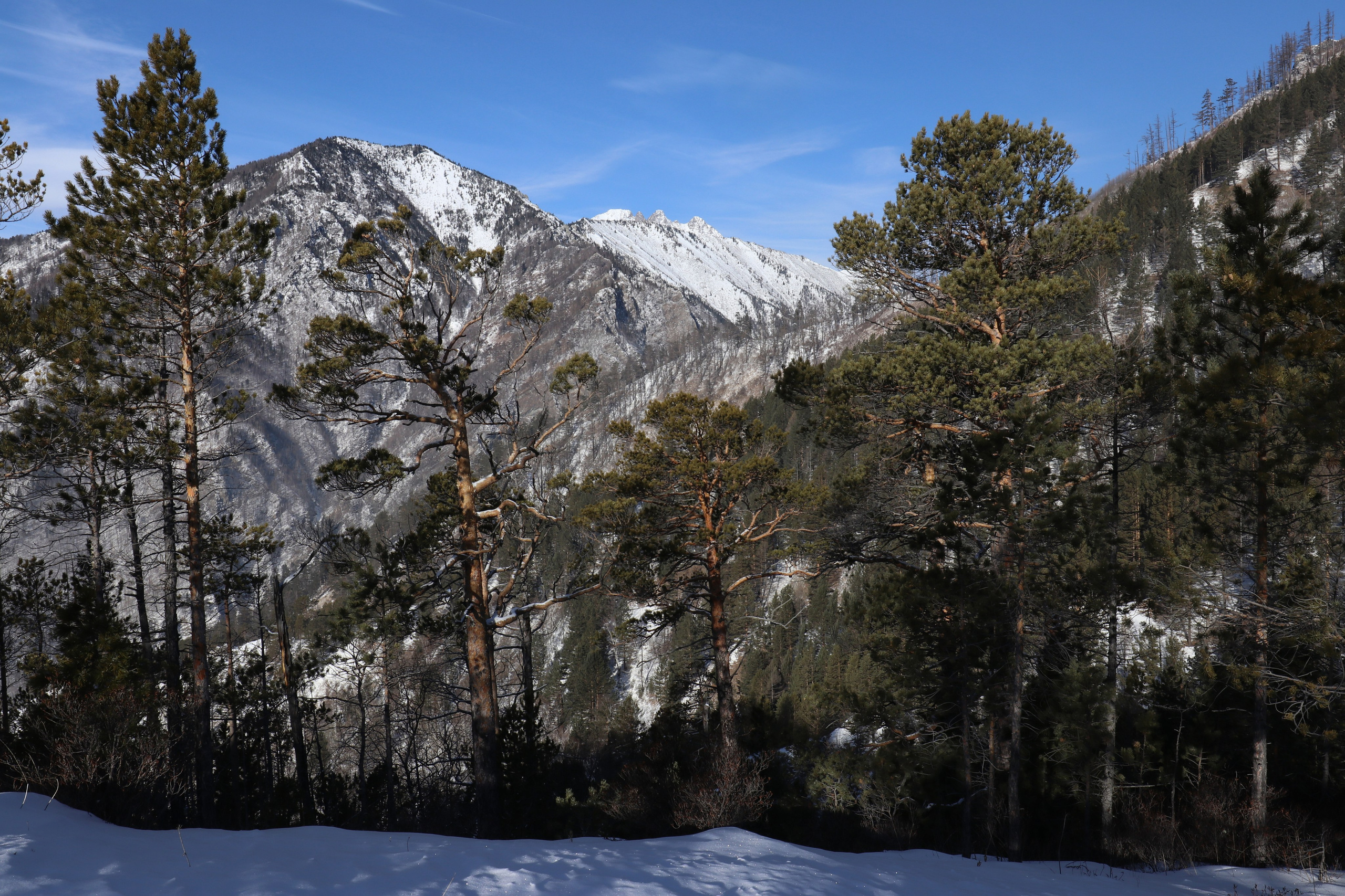 Аршан. Февраль 2025. Путешественник-фотограф из Санкт-Петербурга Татьяна Свистулина