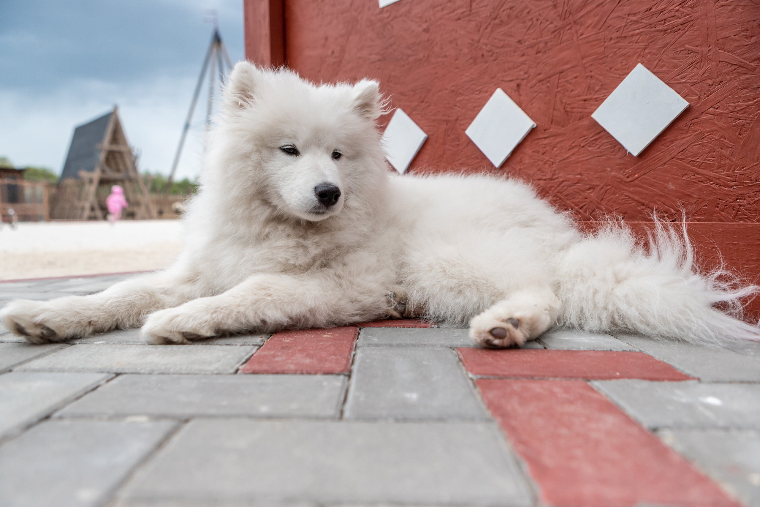 Анонсы съемок. Марк Шишкин — репортажный фотограф в Воронеже и России