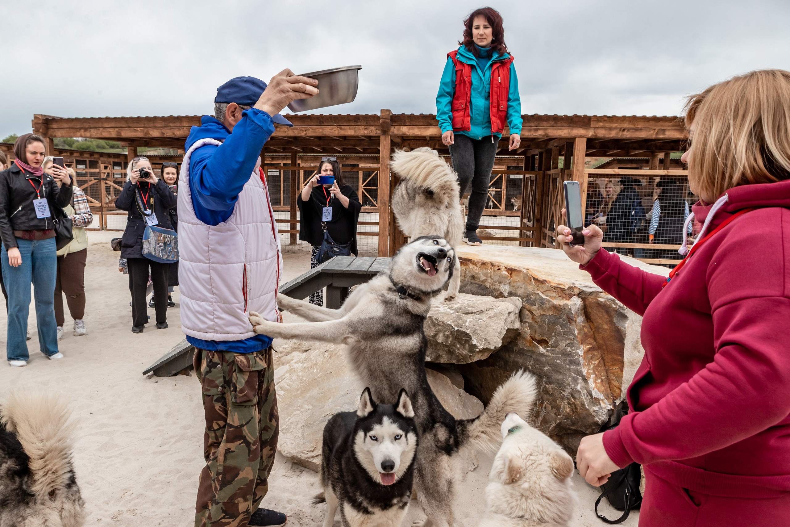 Открытие парка ездовых собак «Ошка», 11 мая 2023. Марк Шишкин — репортажный фотограф в Воронеже и России