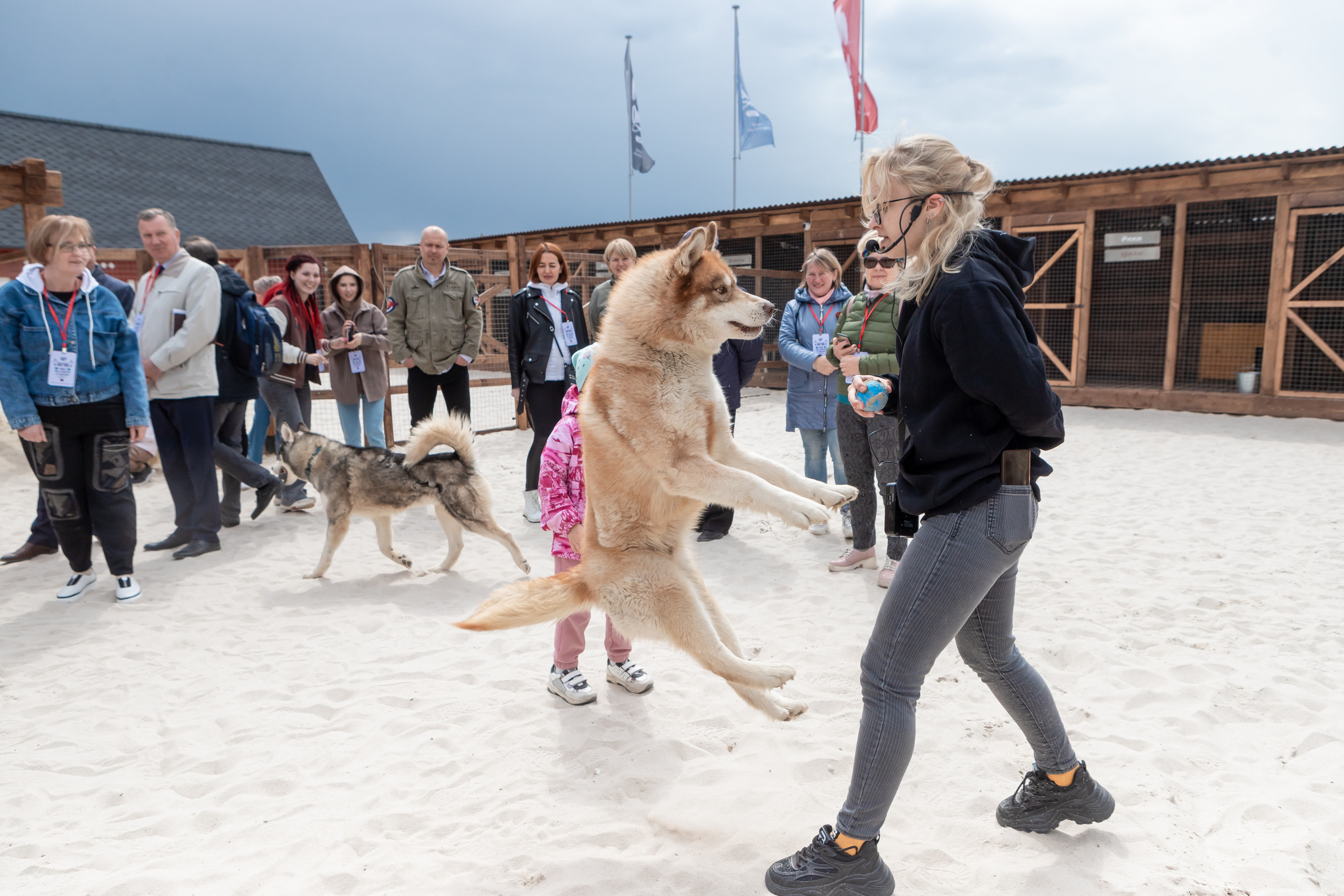 Открытие парка ездовых собак «Ошка», 11 мая 2023. Марк Шишкин — репортажный фотограф в Воронеже и России
