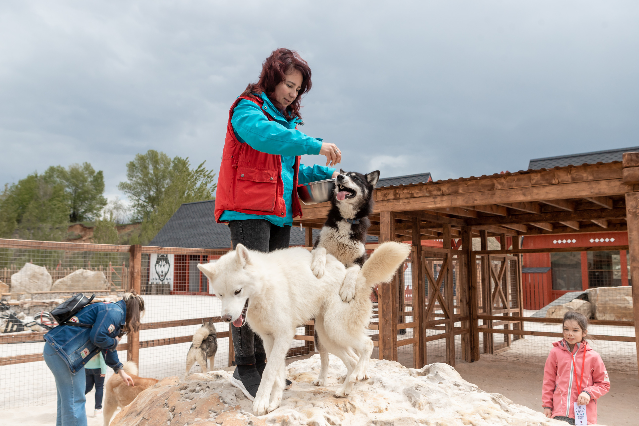 Открытие парка ездовых собак «Ошка», 11 мая 2023. Марк Шишкин — репортажный фотограф в Воронеже и России