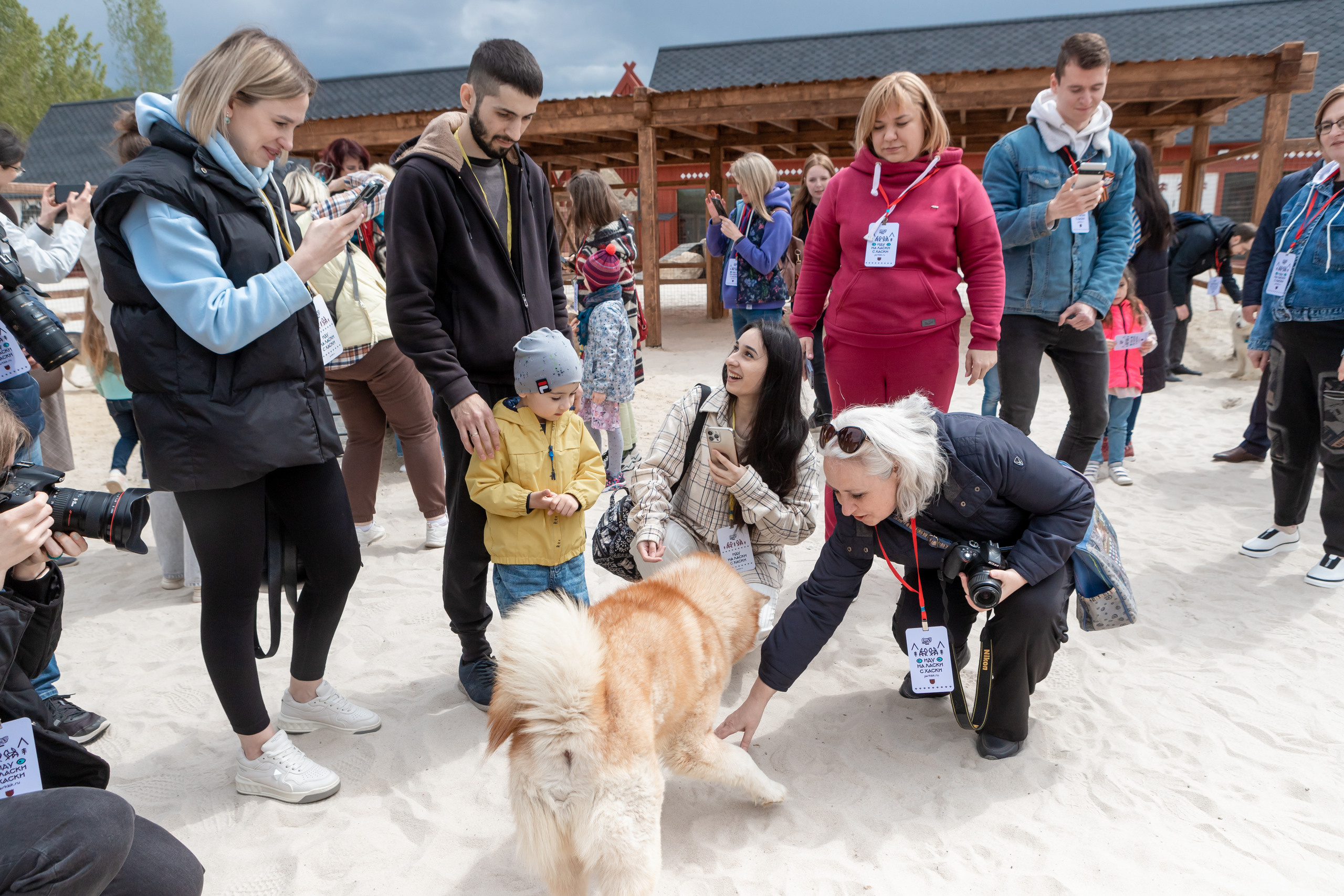 Открытие парка ездовых собак «Ошка», 11 мая 2023. Марк Шишкин — репортажный фотограф в Воронеже и России